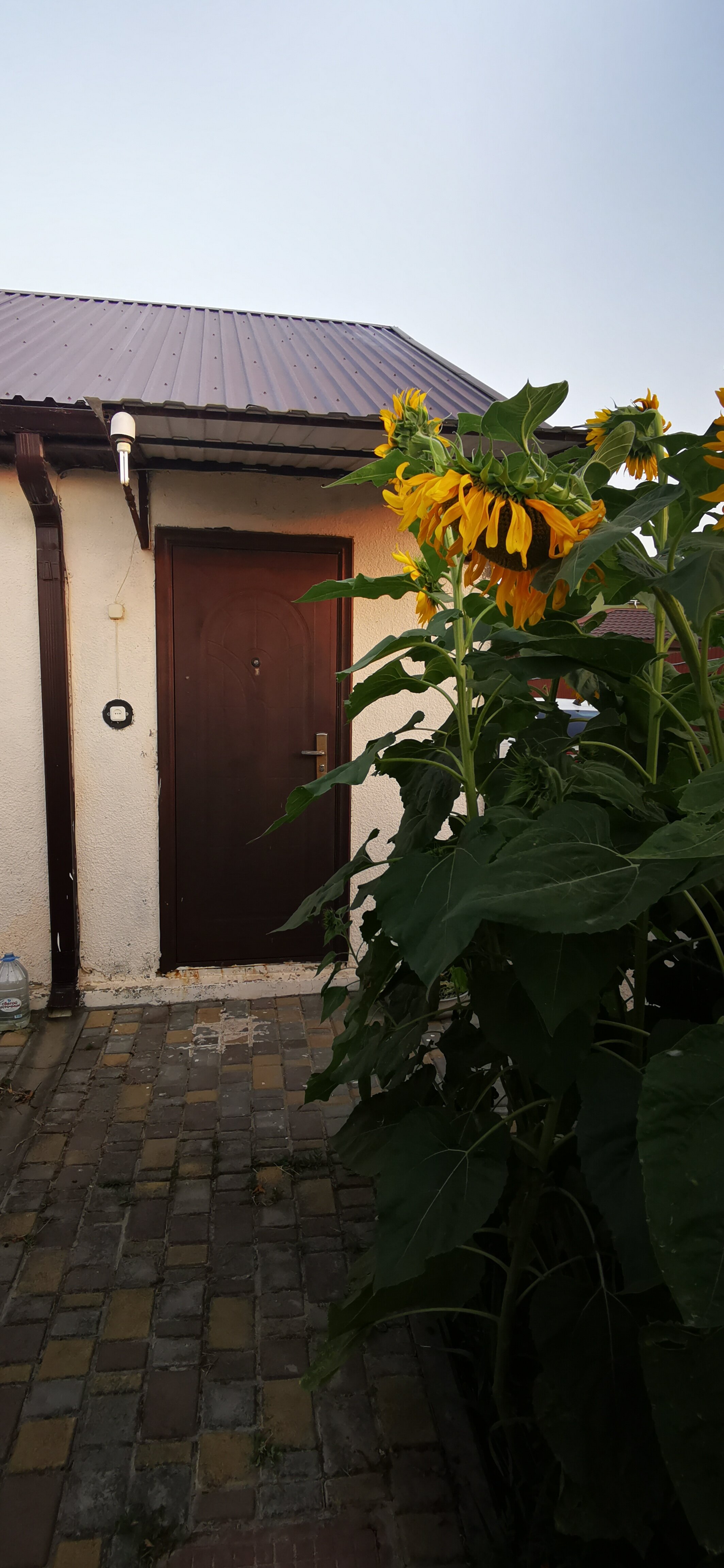 Фото В гостях у сказки