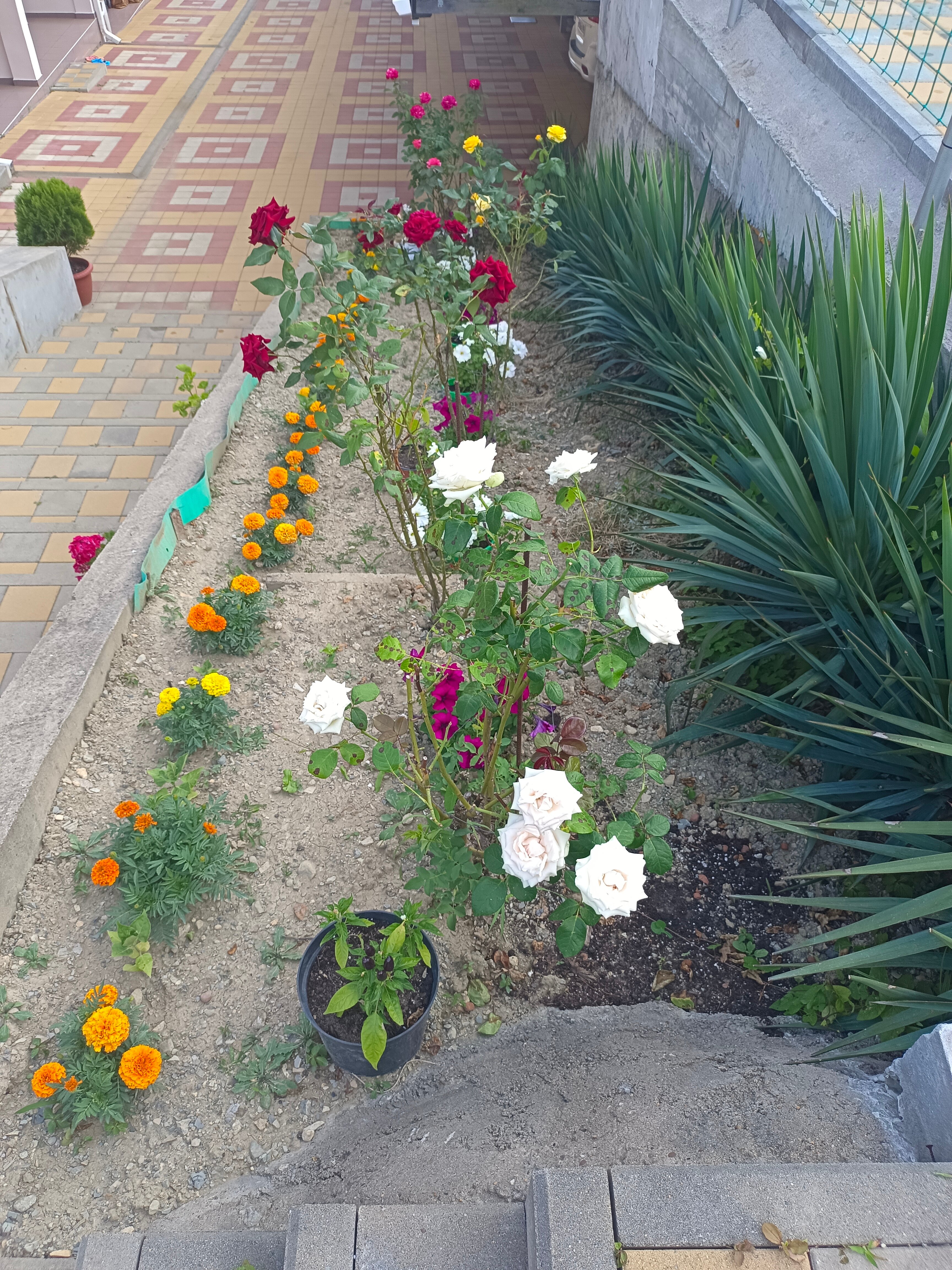 Фото Магнит