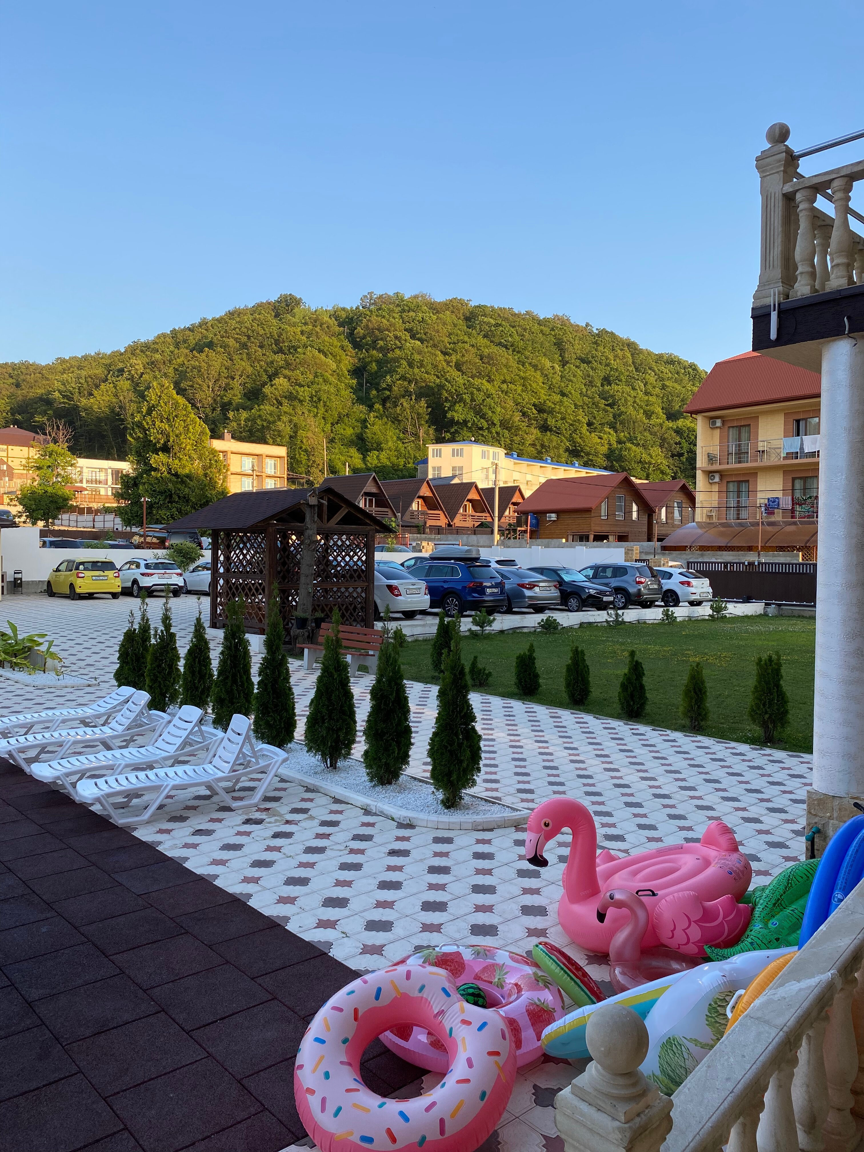 Фото Аммонит