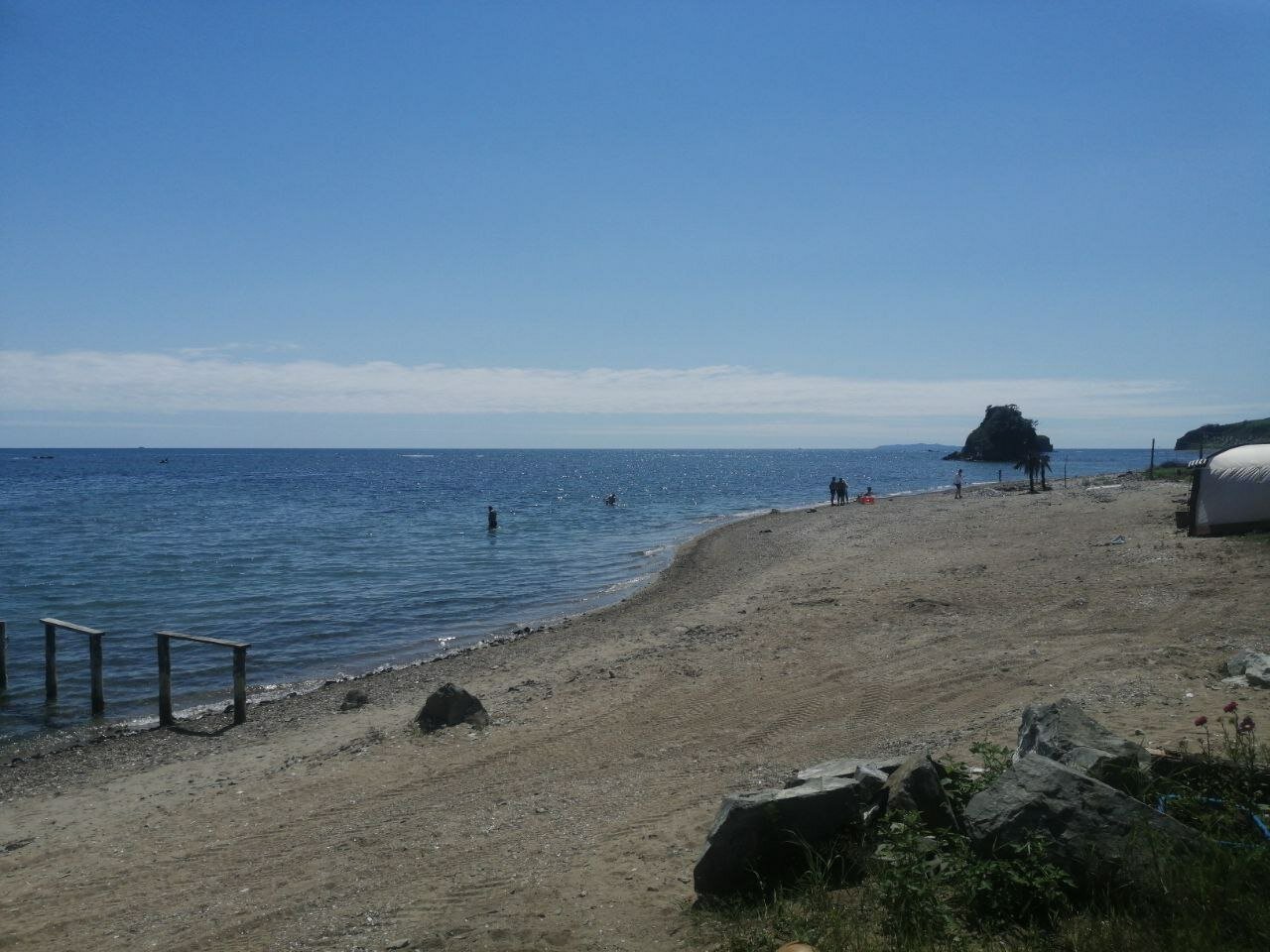 Фото Зелёная полянка