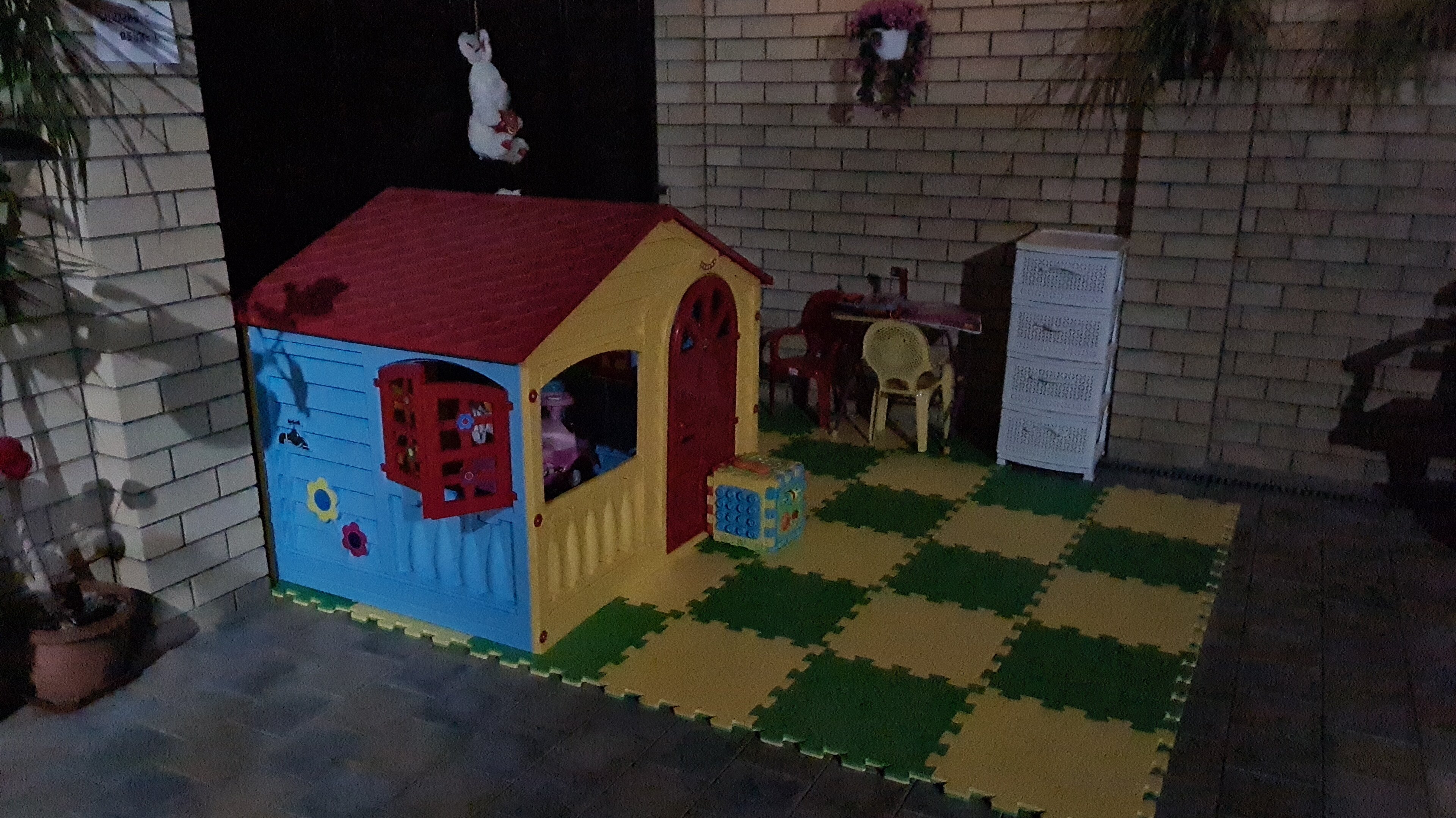 Фото Кипарис