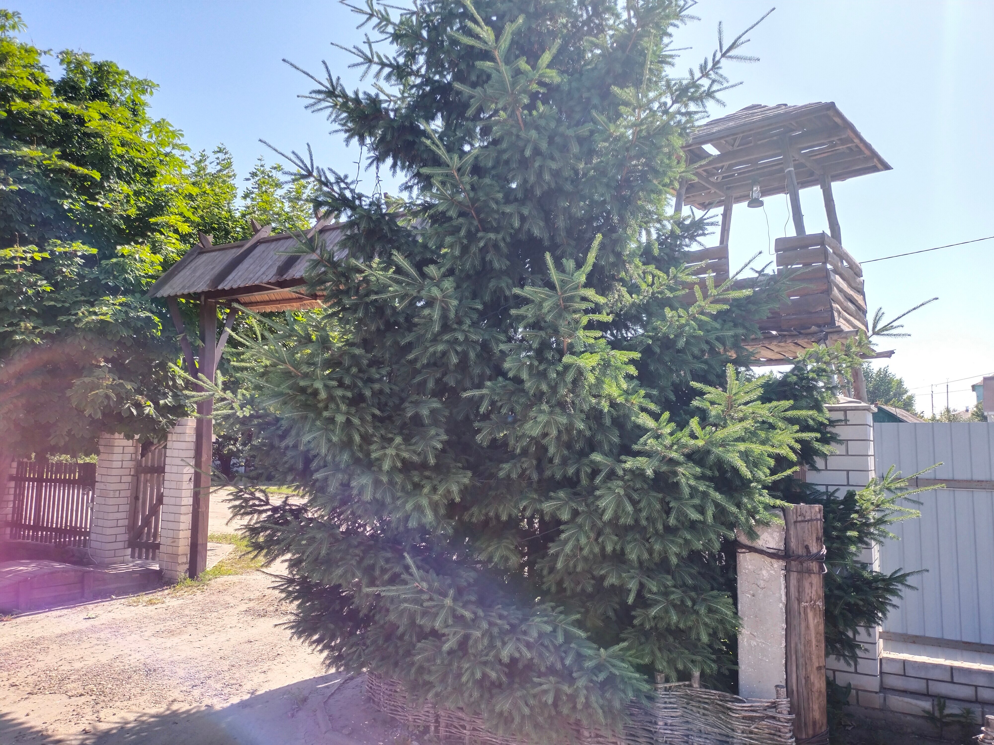 Фото Наташа