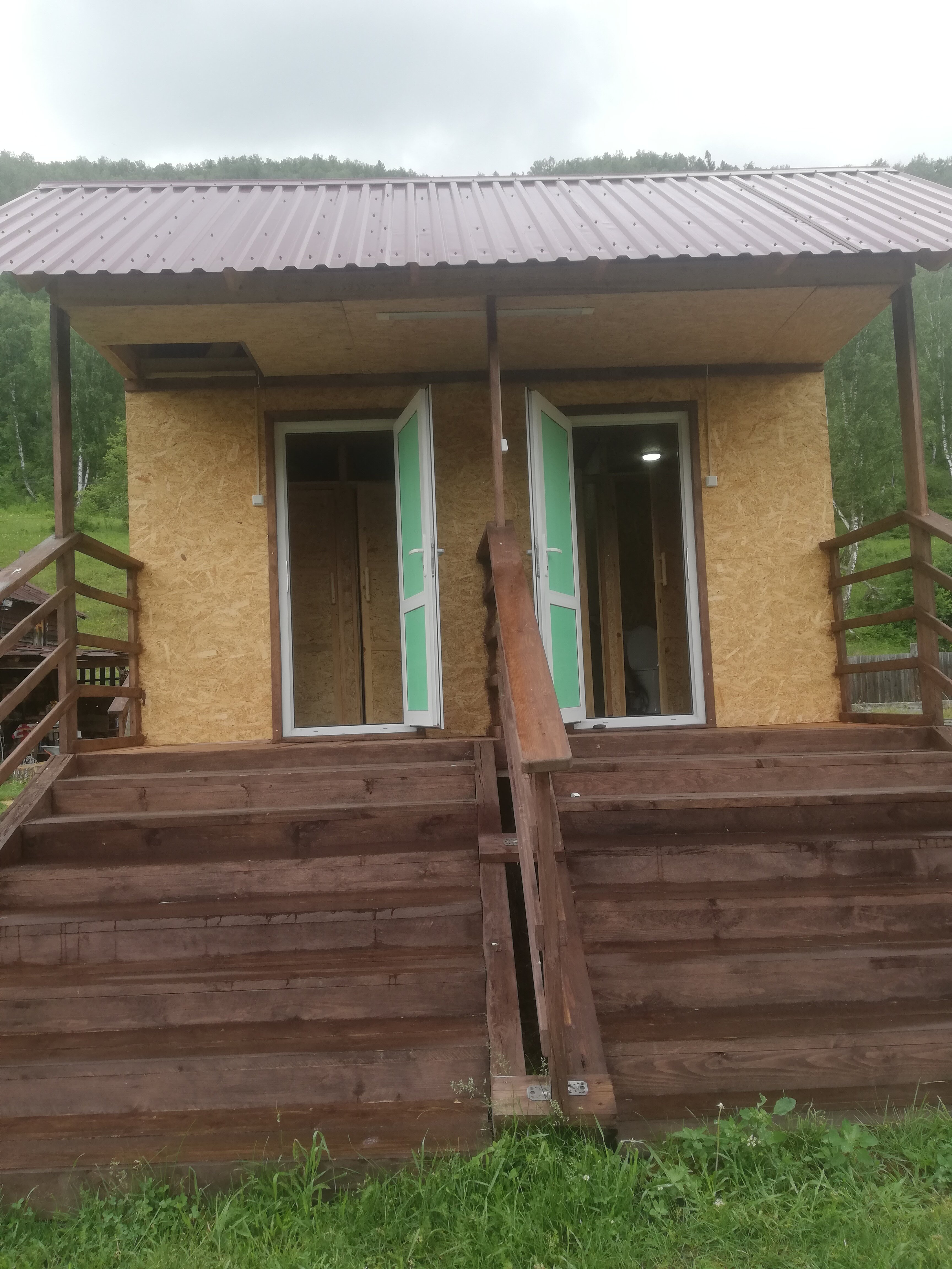 Фото Золотая пчела