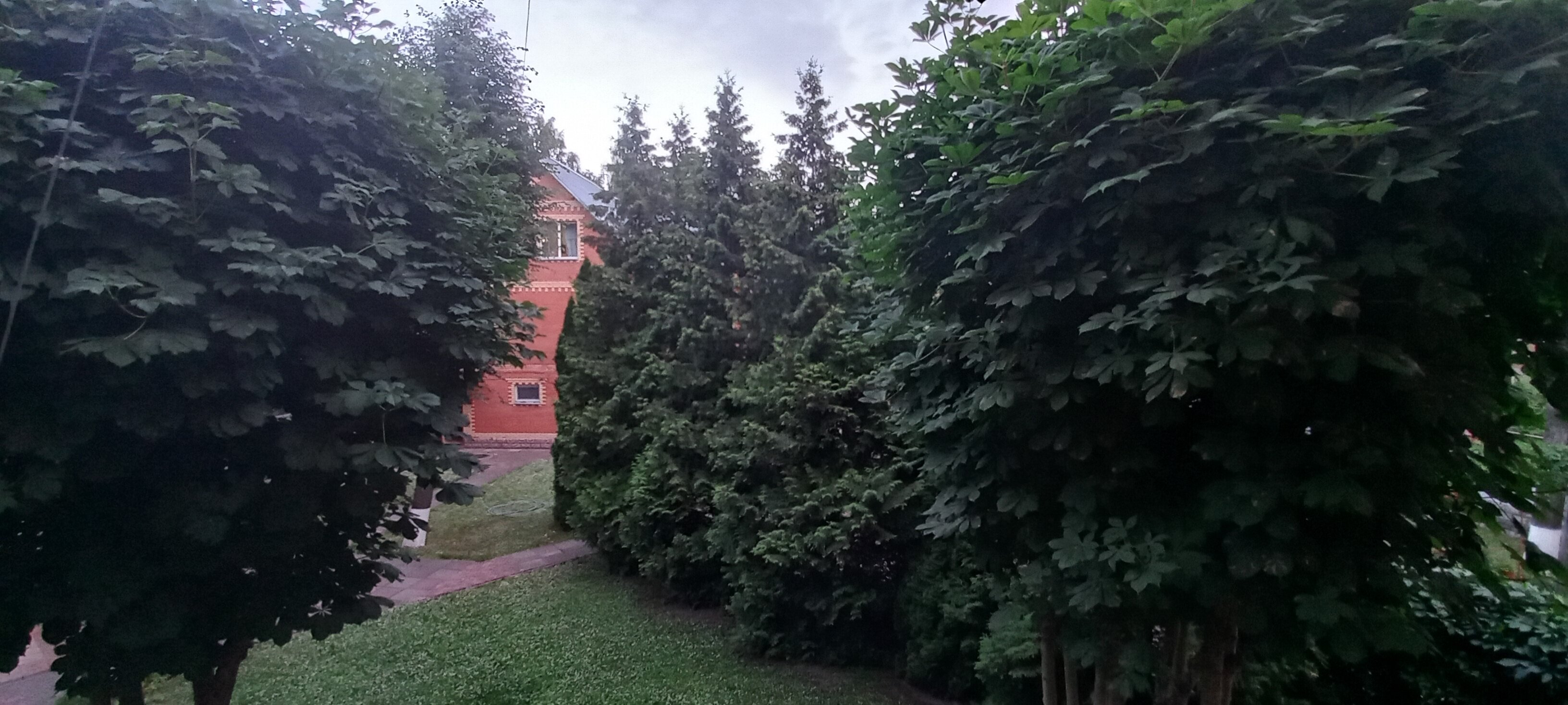 Фото Мещерино Dme