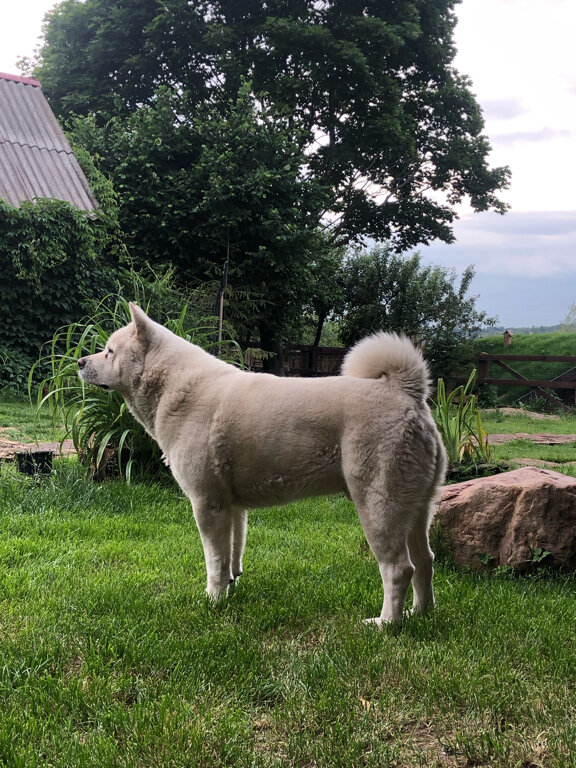 Фото Остров Kattegat