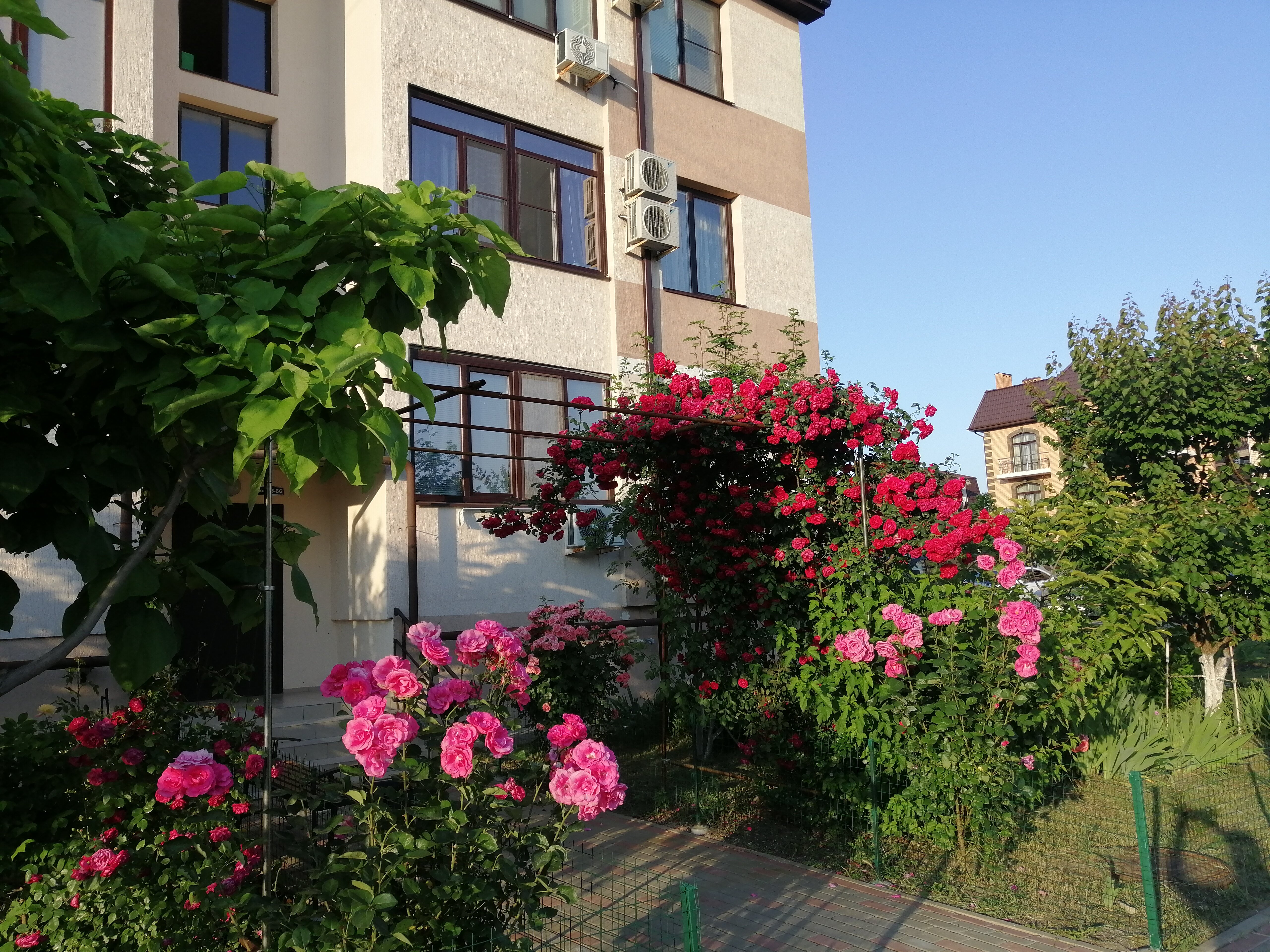 Фото Легенда