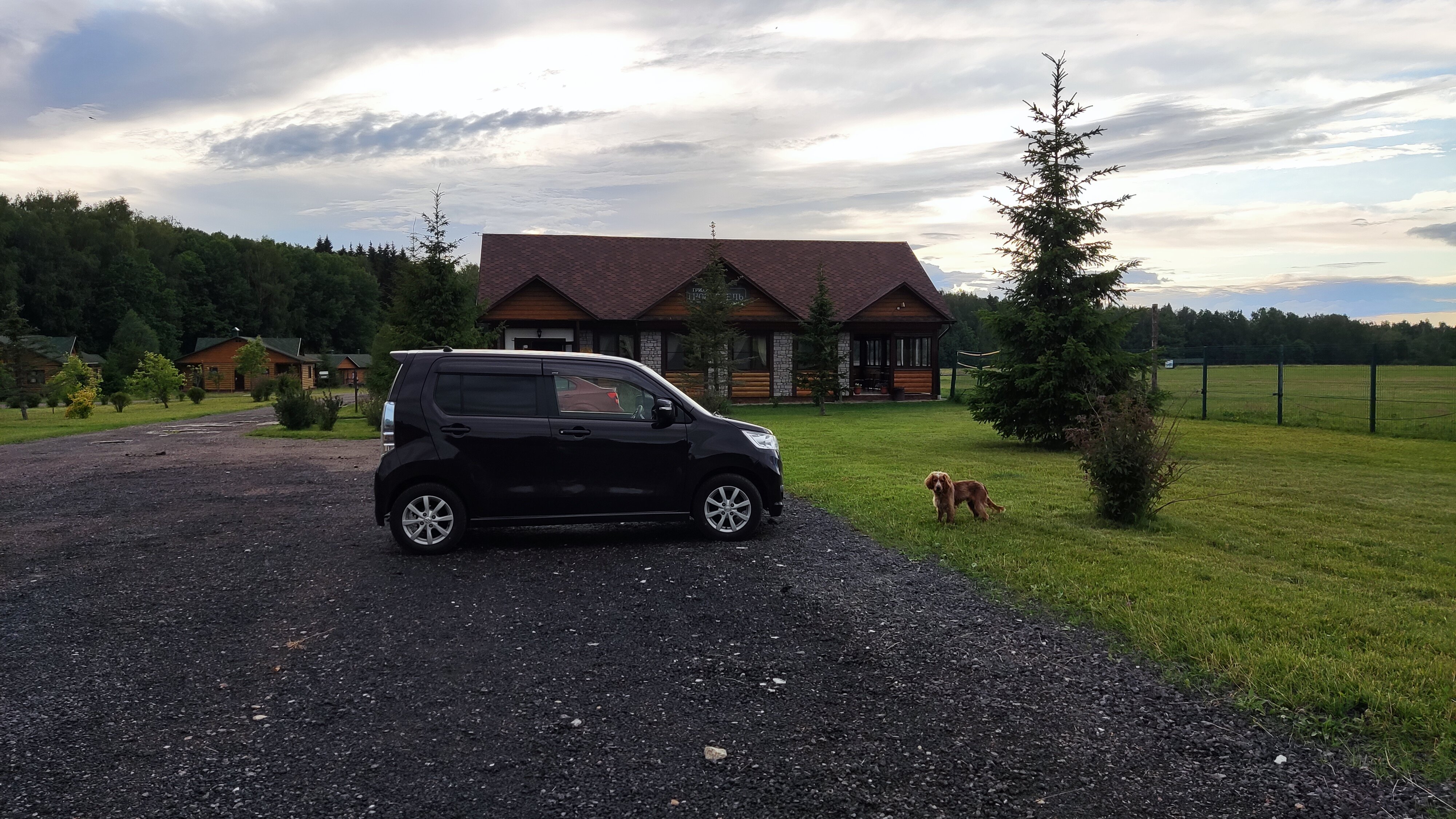 Фото Головинка