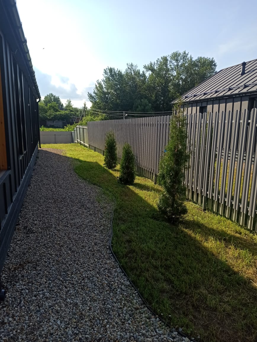 Фото Мандарин