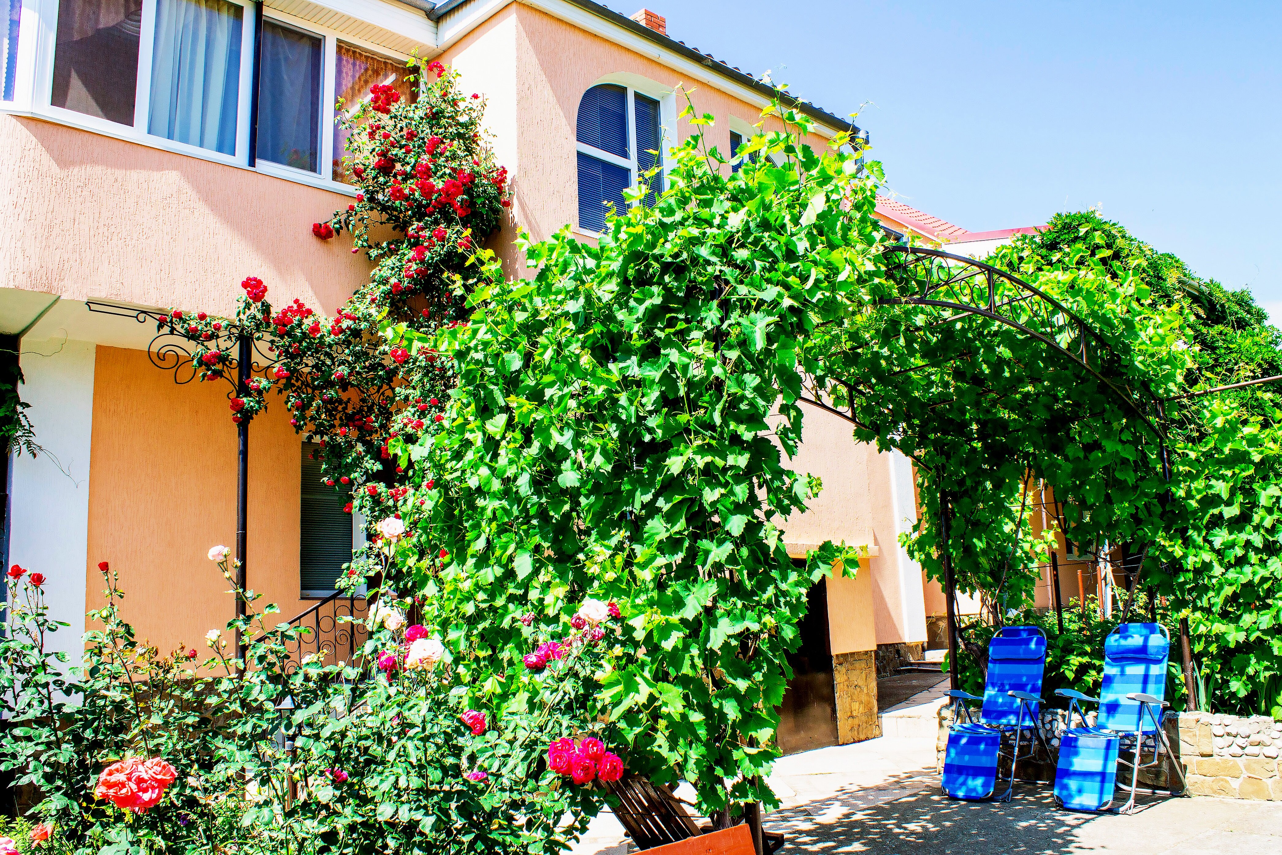 Фото Лето в Коктебеле