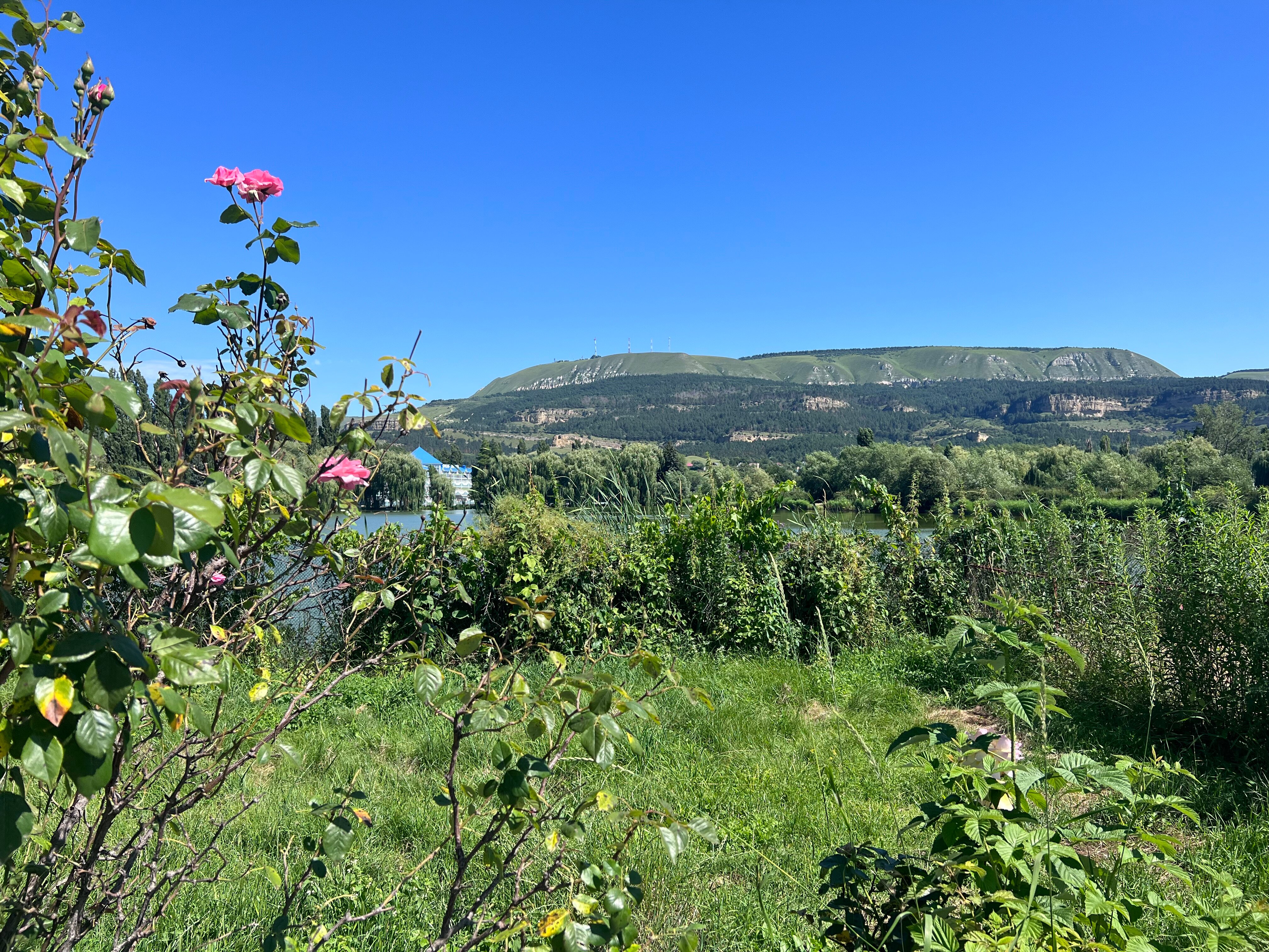 Фото Лагуна