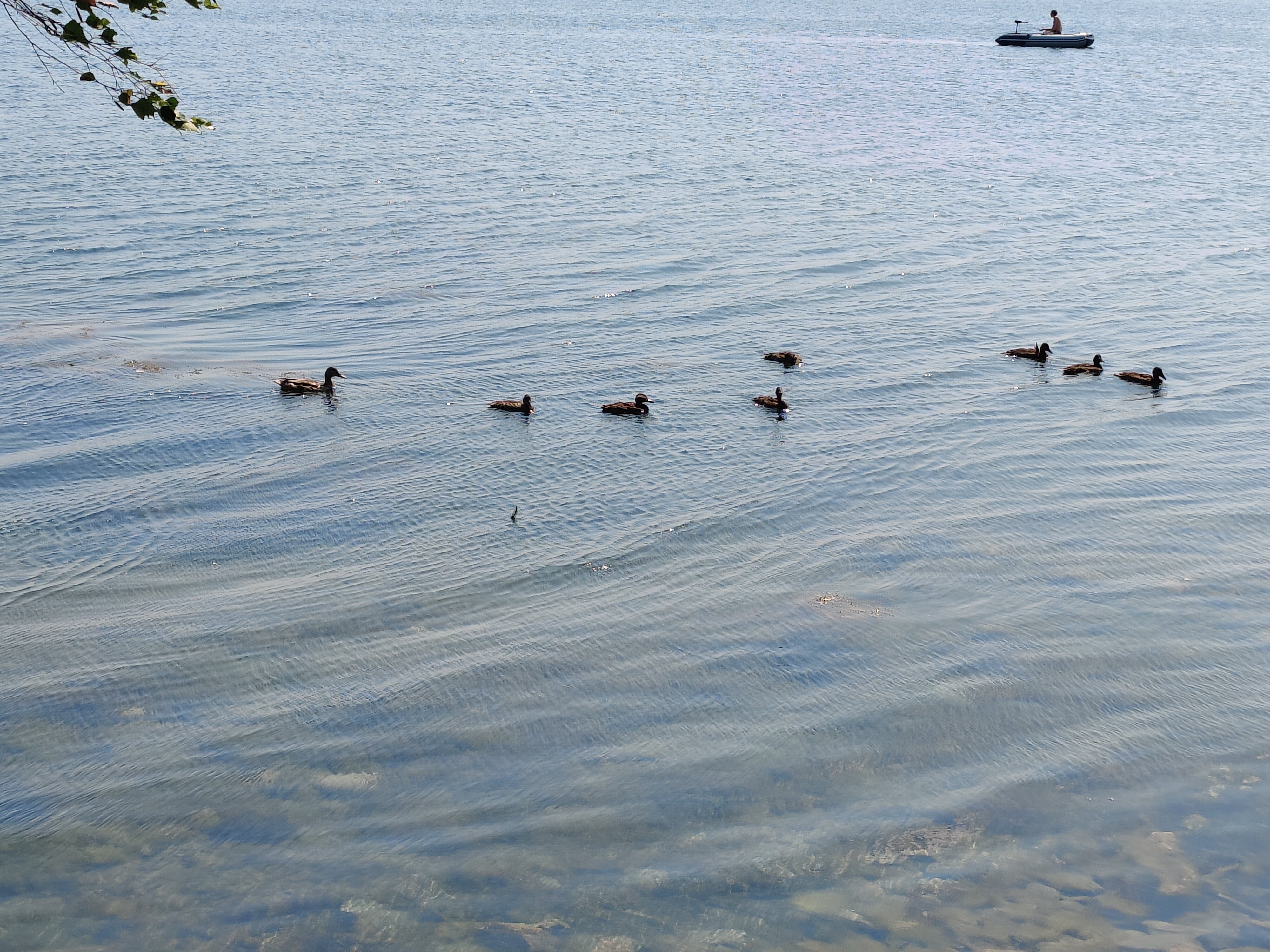 Фото Хутор Увильды