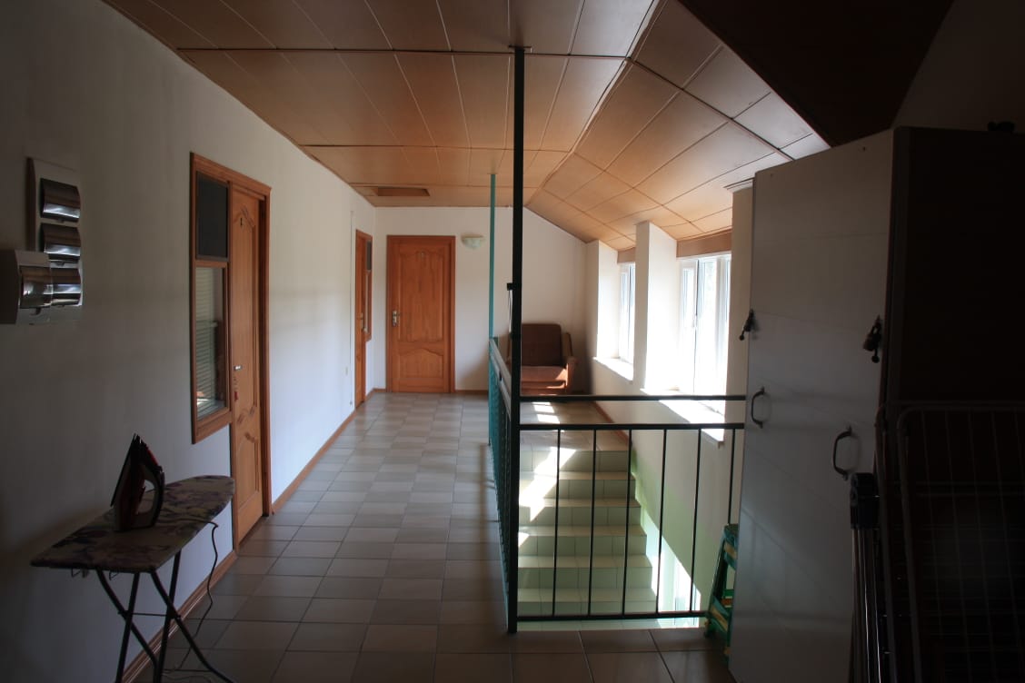 Фото Ромашка