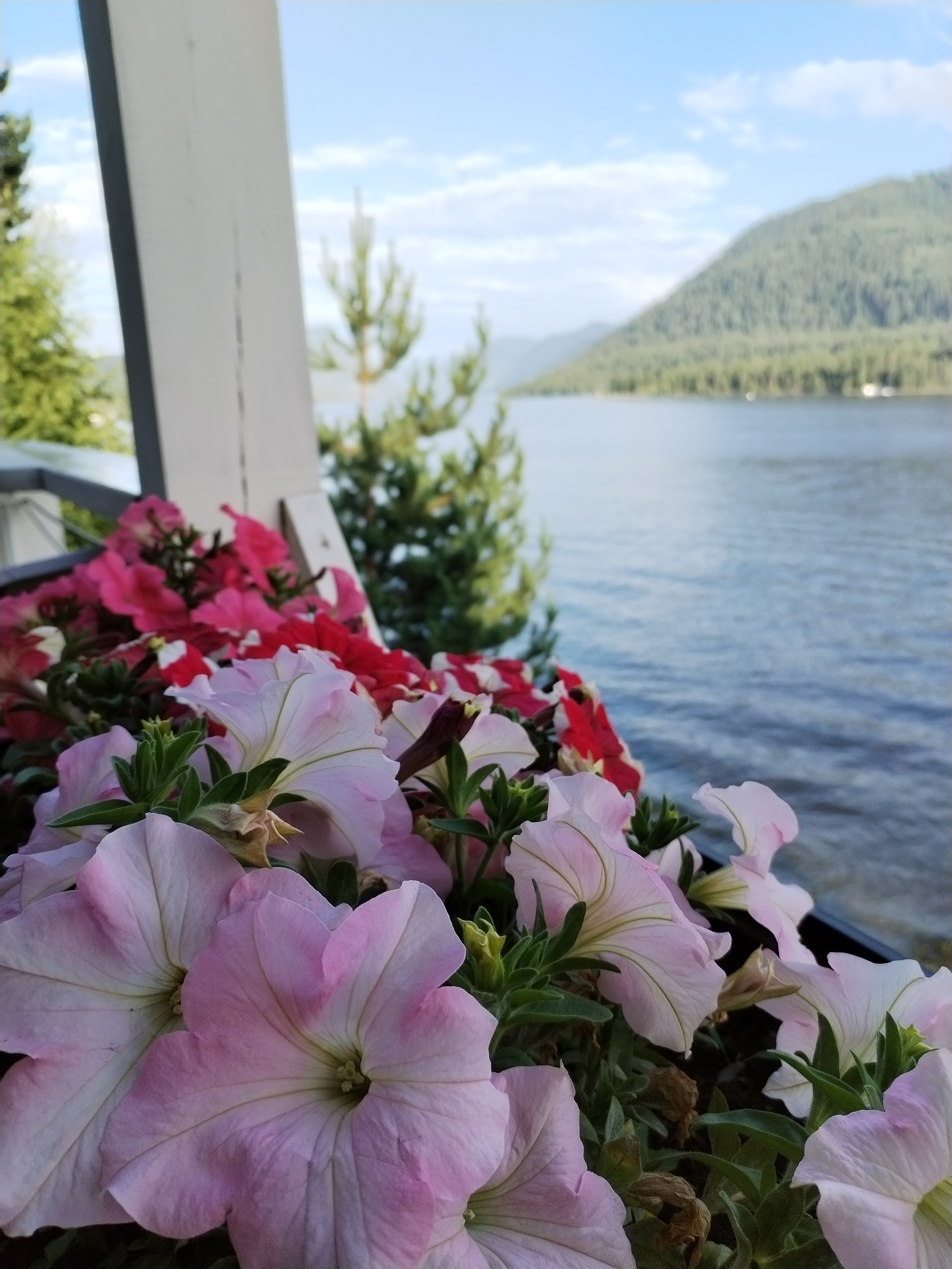 Фото Шале О&к