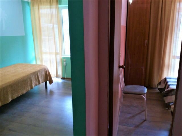 Фото Пальма