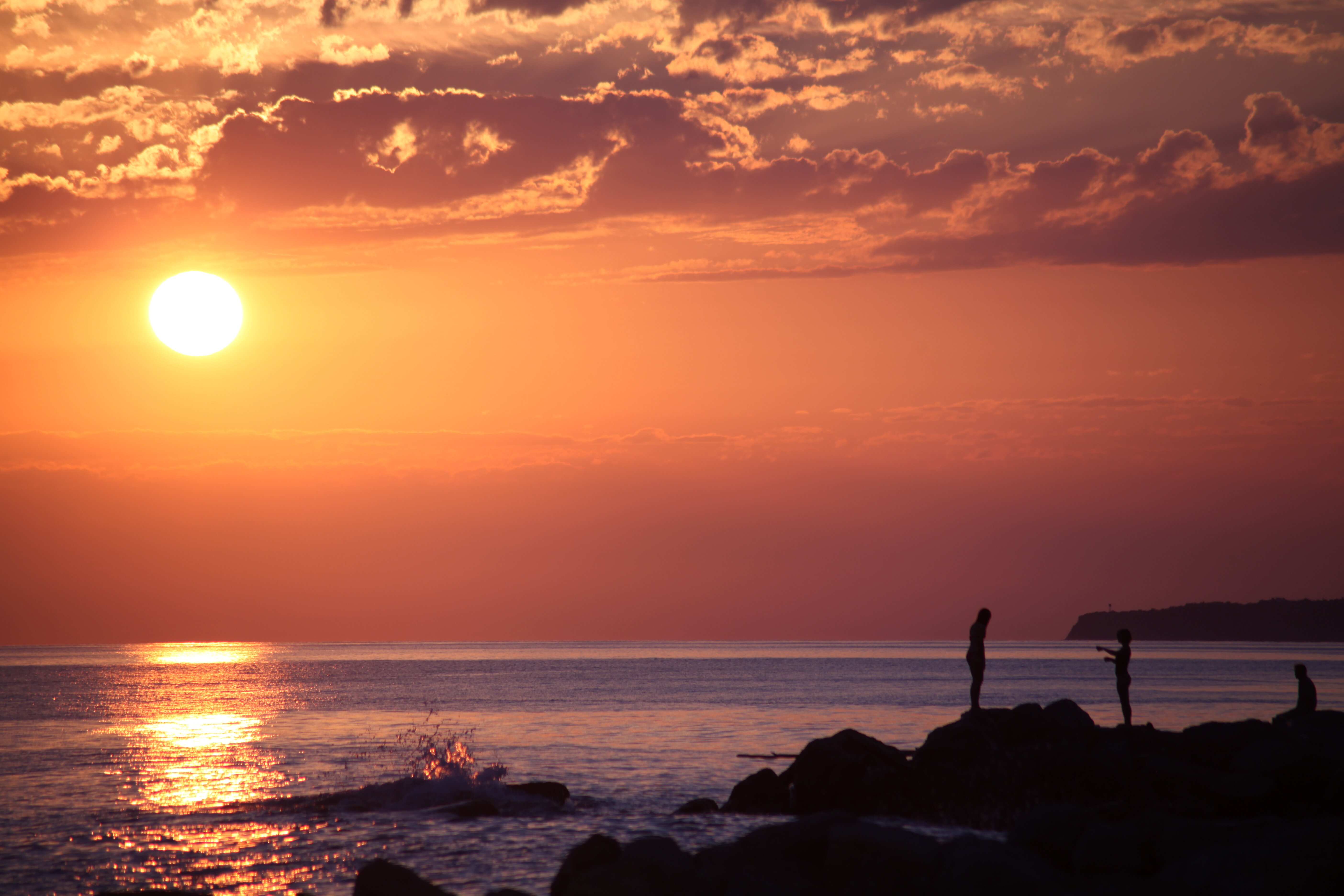 Фото Дом на поляне