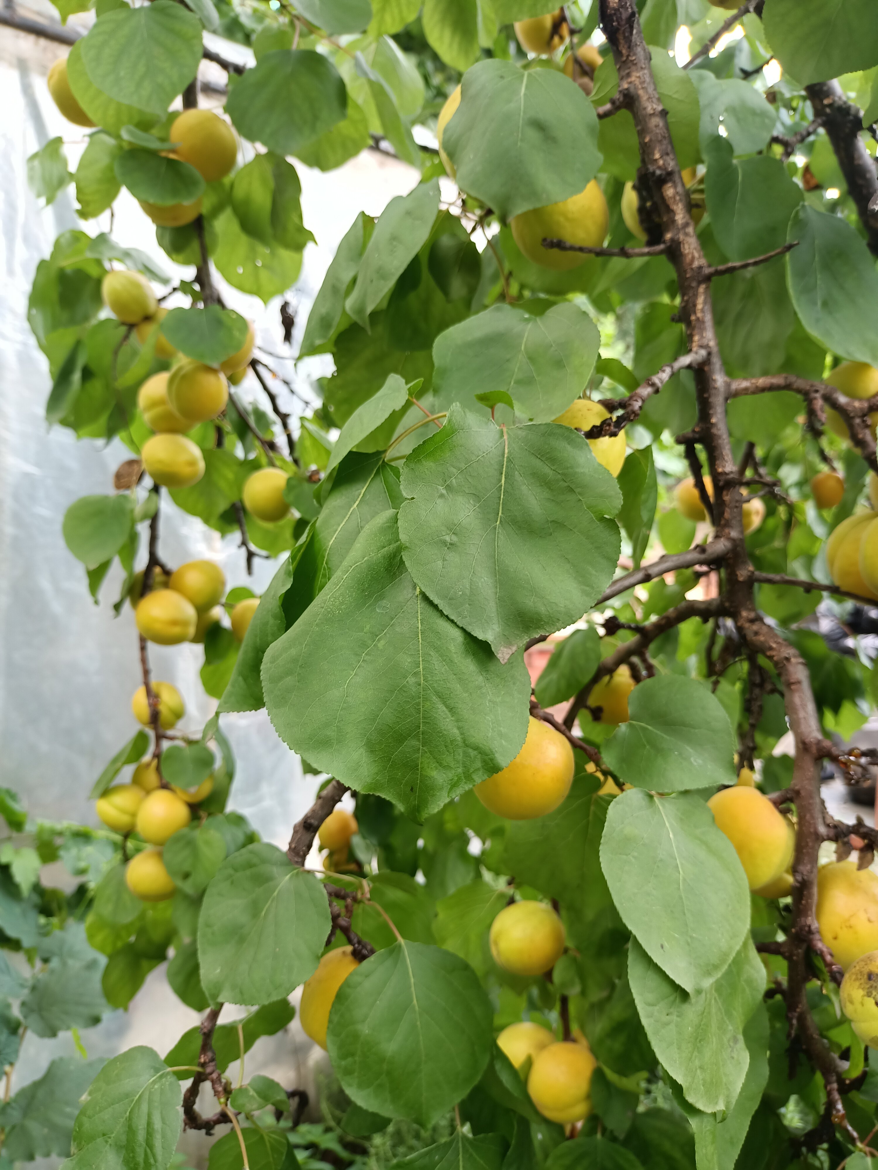 Фото Надежда