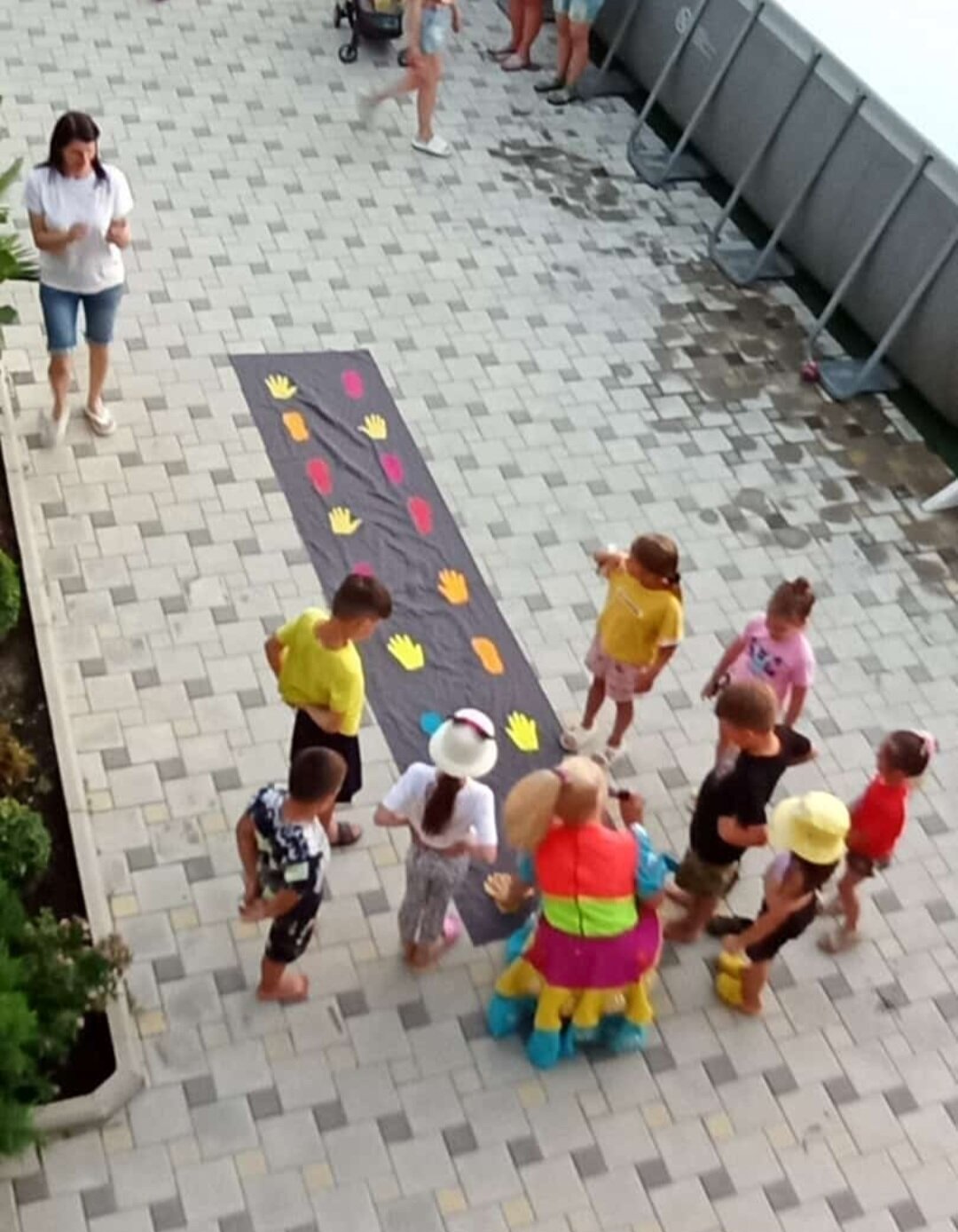 Фото Колибри