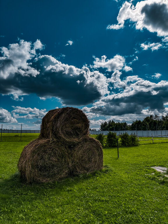 Фото Экоферма Александровский спас