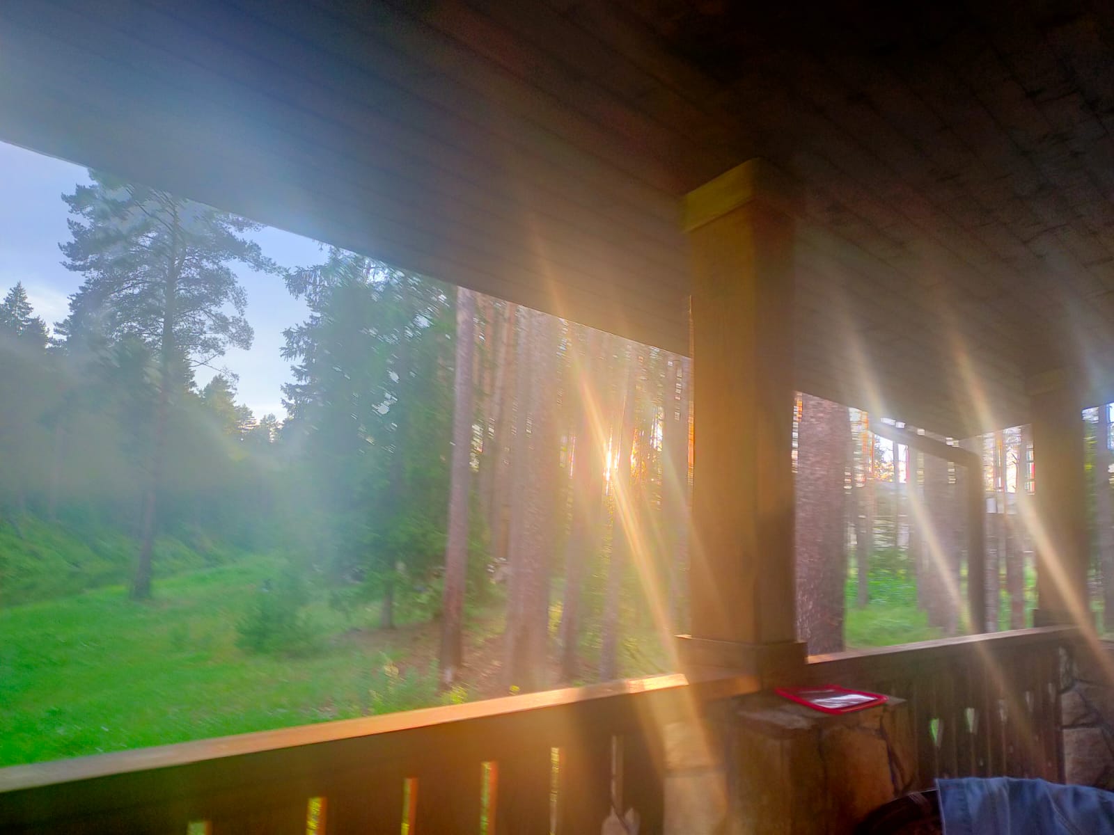 Фото ГлинтВуд