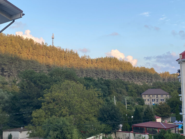 Фото Усадьба