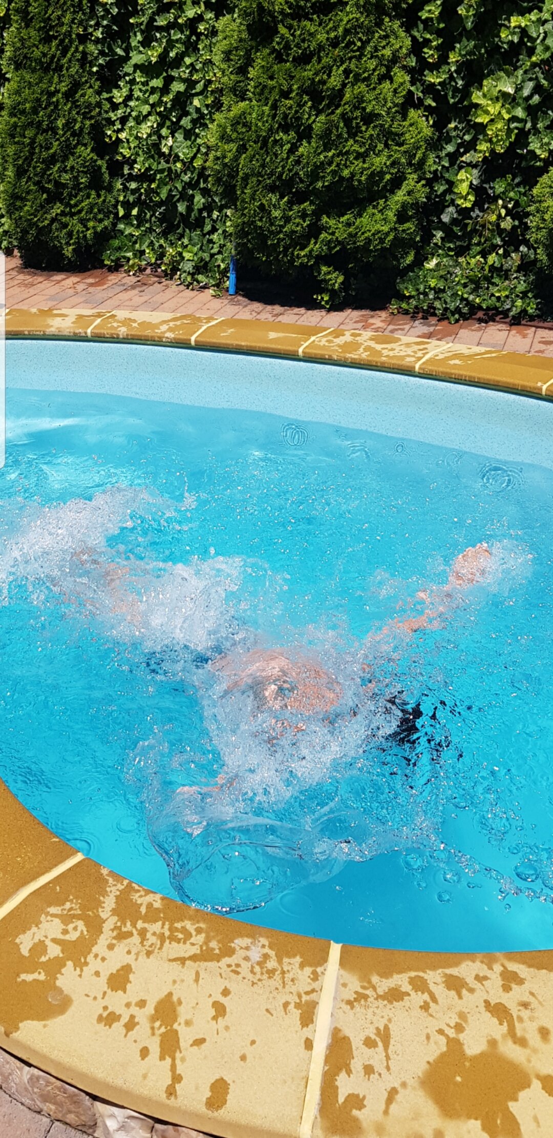 Фото Брауни