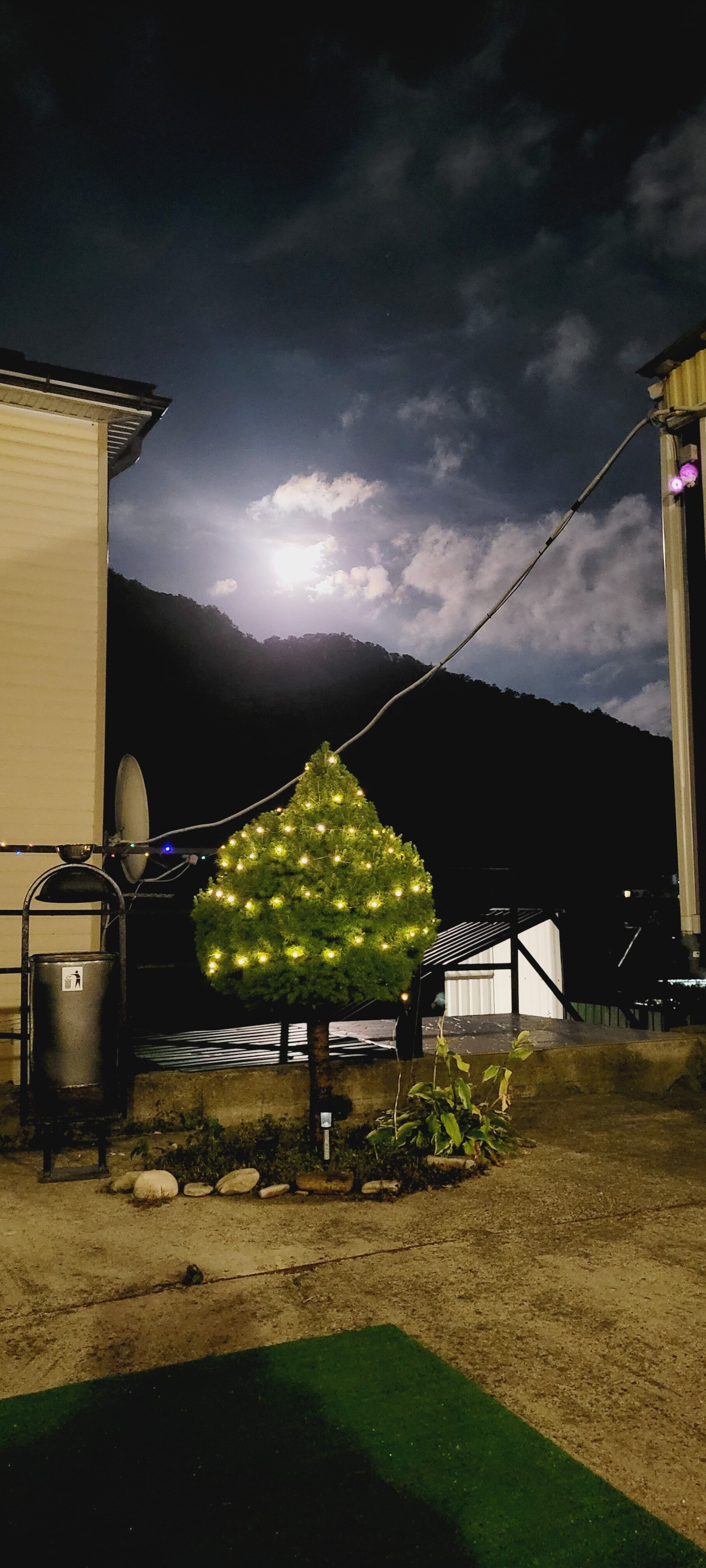 Фото Резиденция графов Орловых