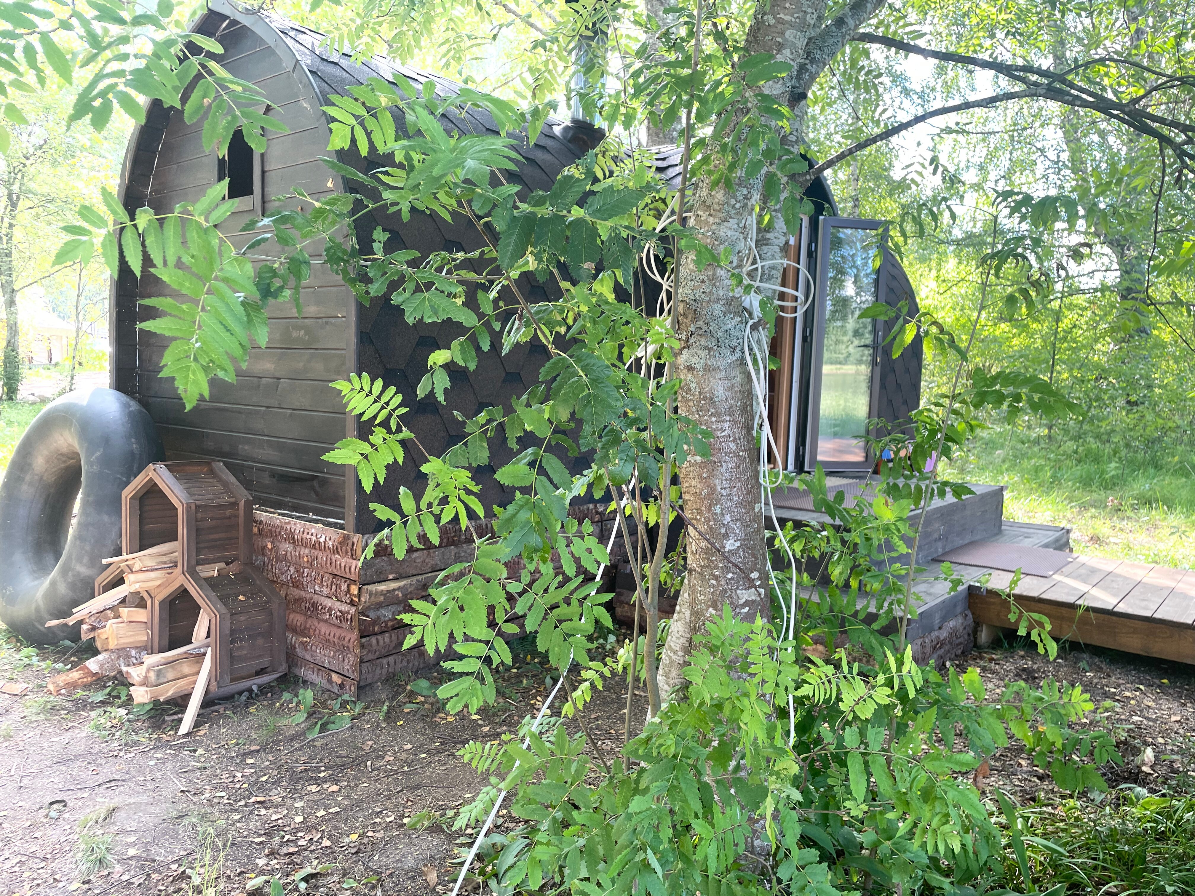 Фото Свобода