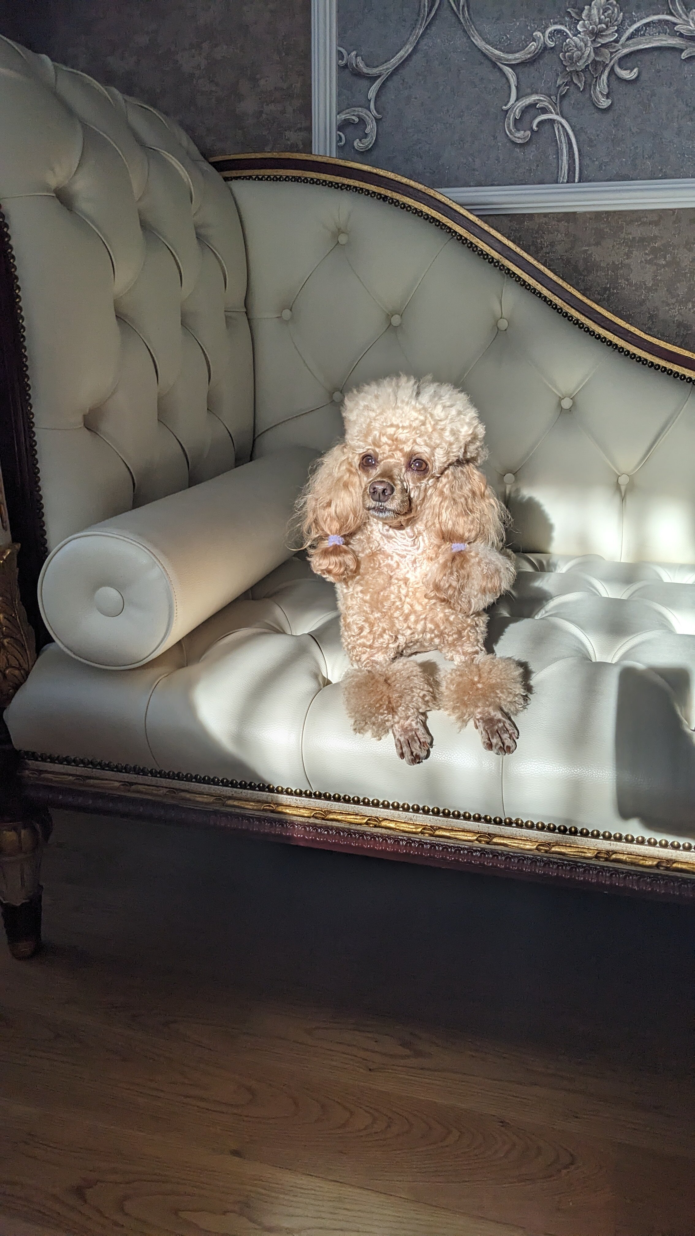 Фото Александровский