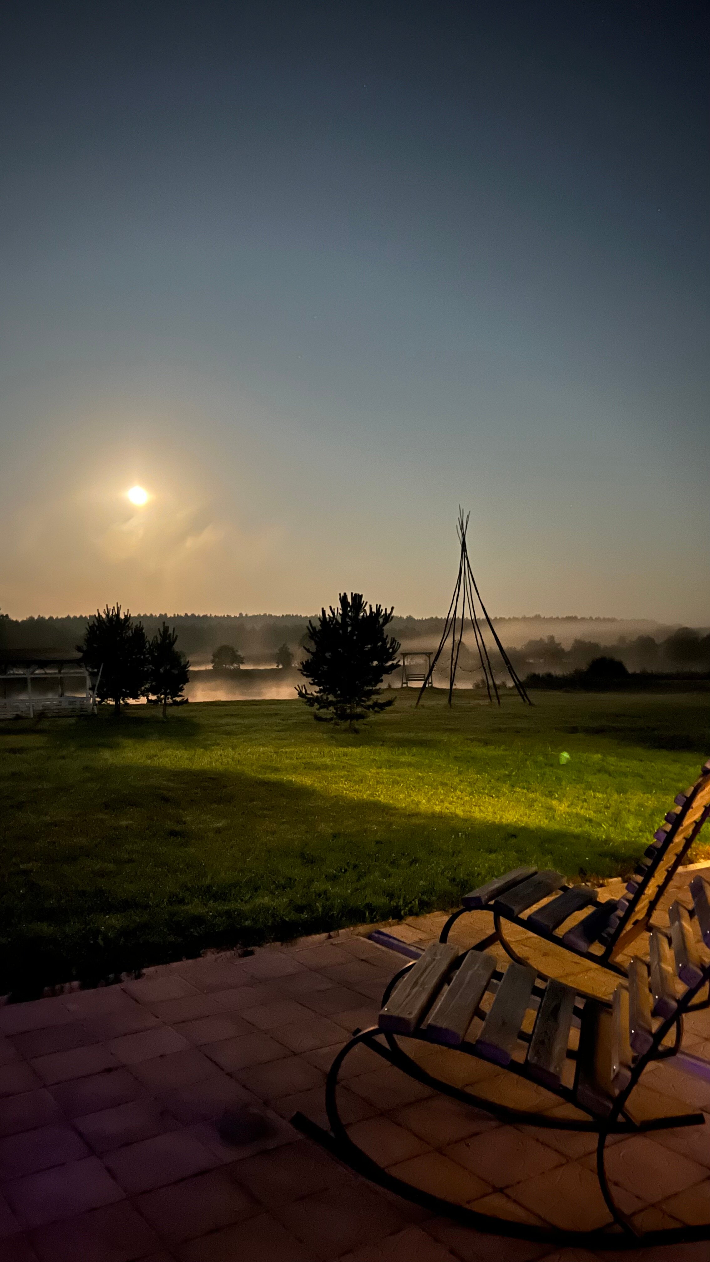 Фото Медведица Шанти