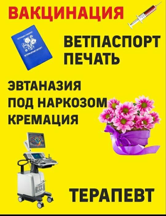 Фауна, ветеринарная клиника, ул. Кутузова, 91А, Красноярск - Яндекс Карты