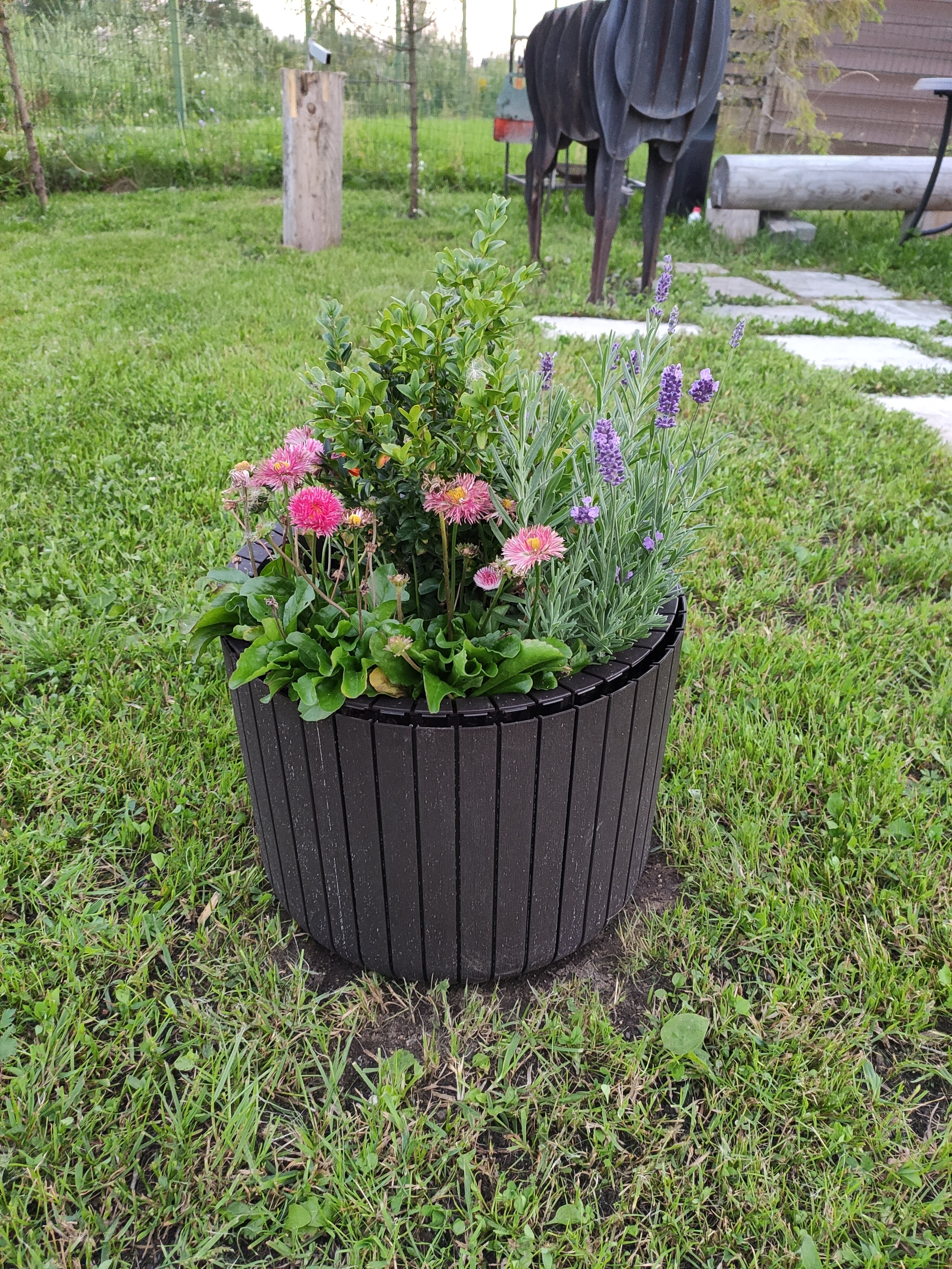 Фото Вилла Форца