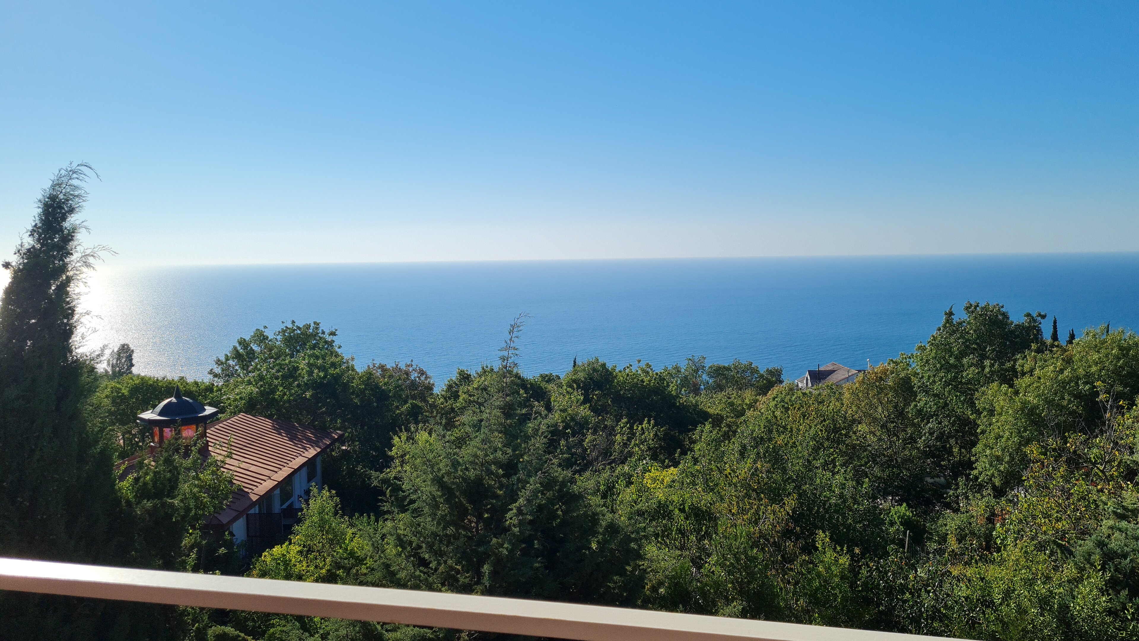 Фото Кипарис