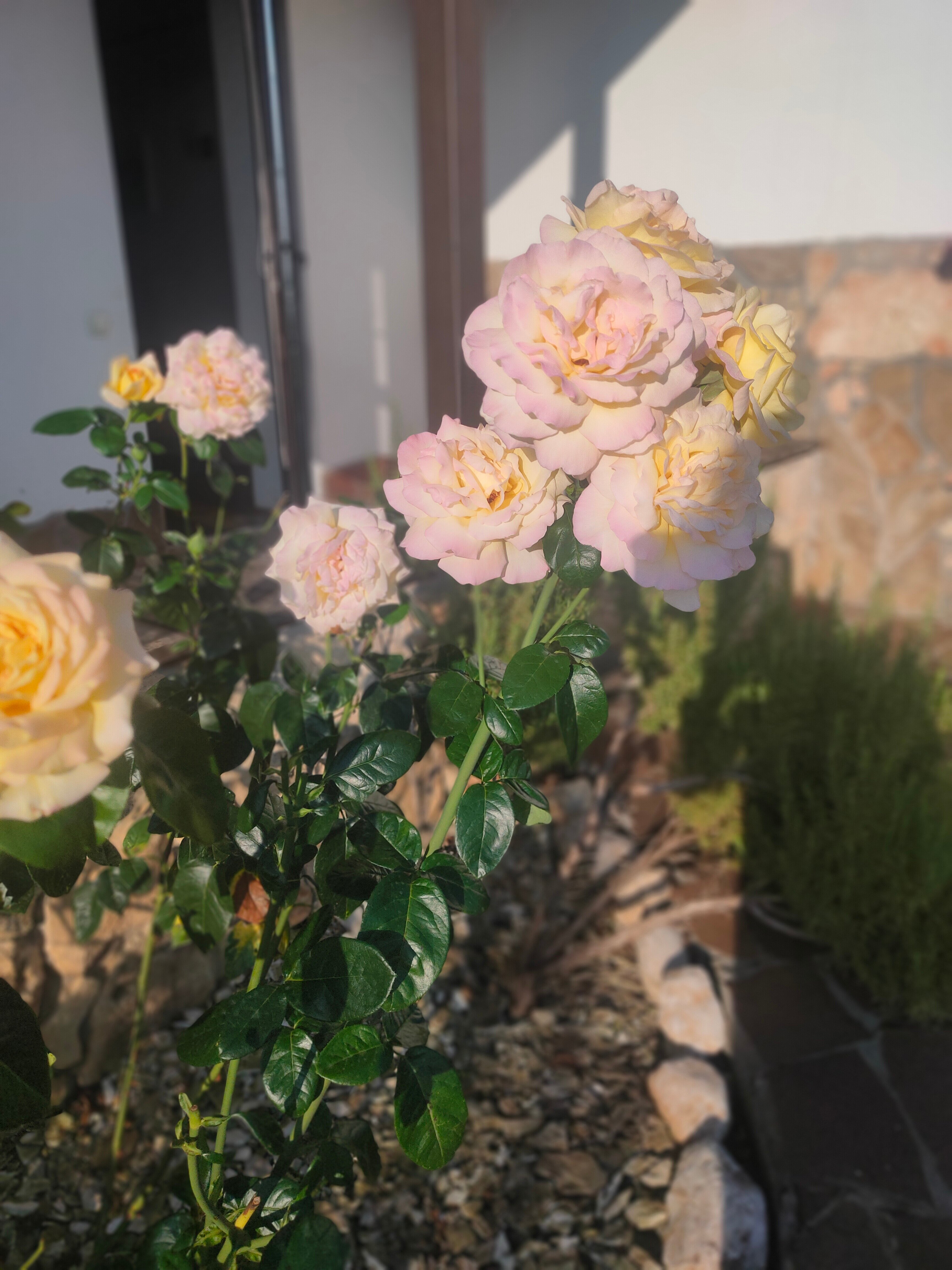 Фото Богатое ущелье