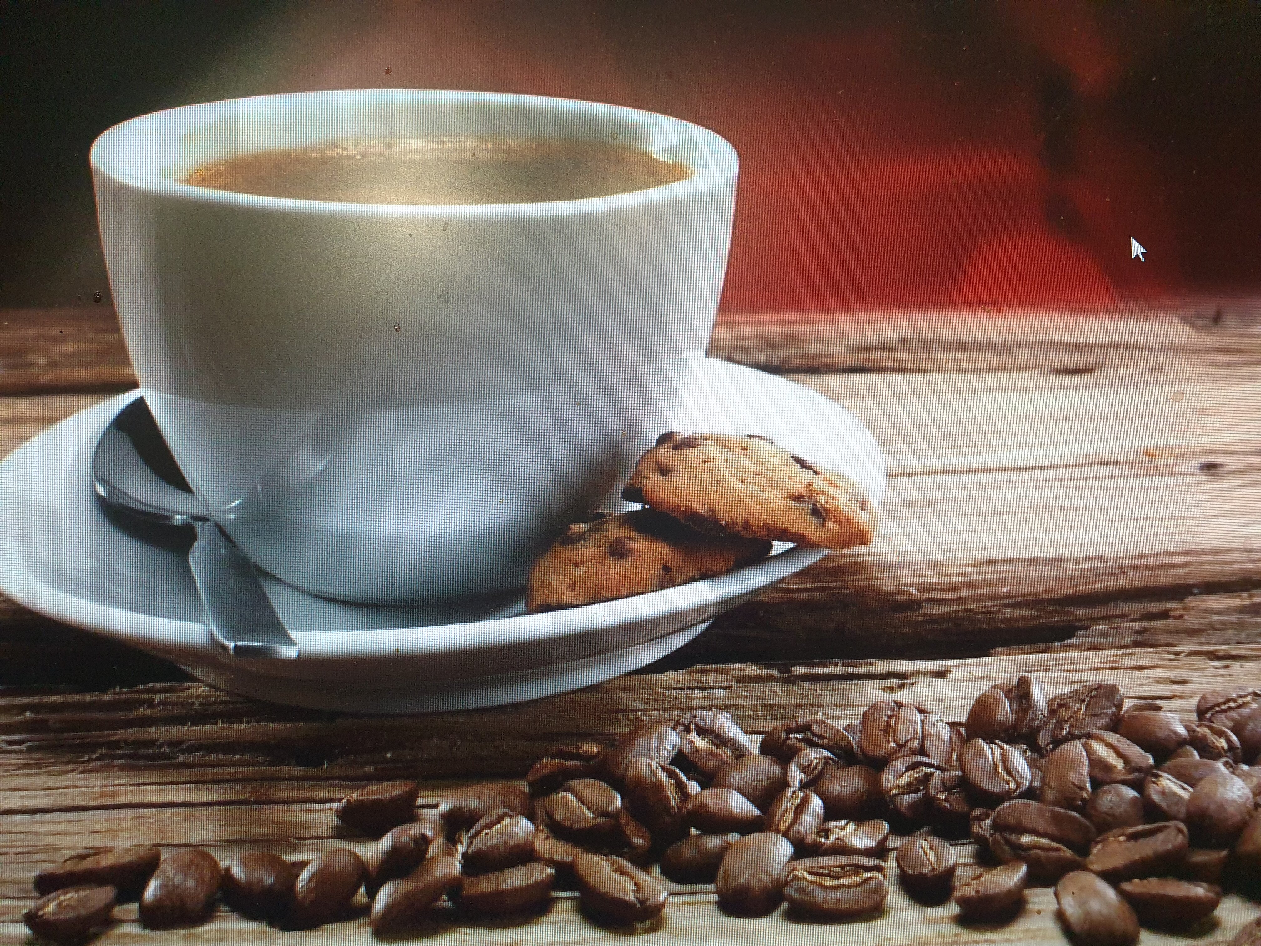 Фото Звезда