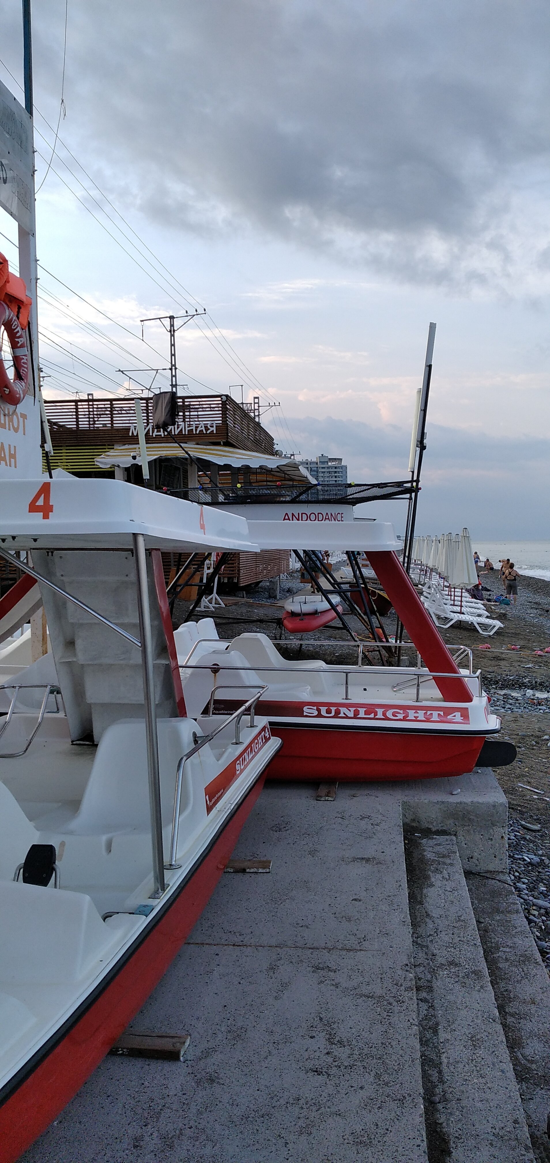 Фото Кардинал