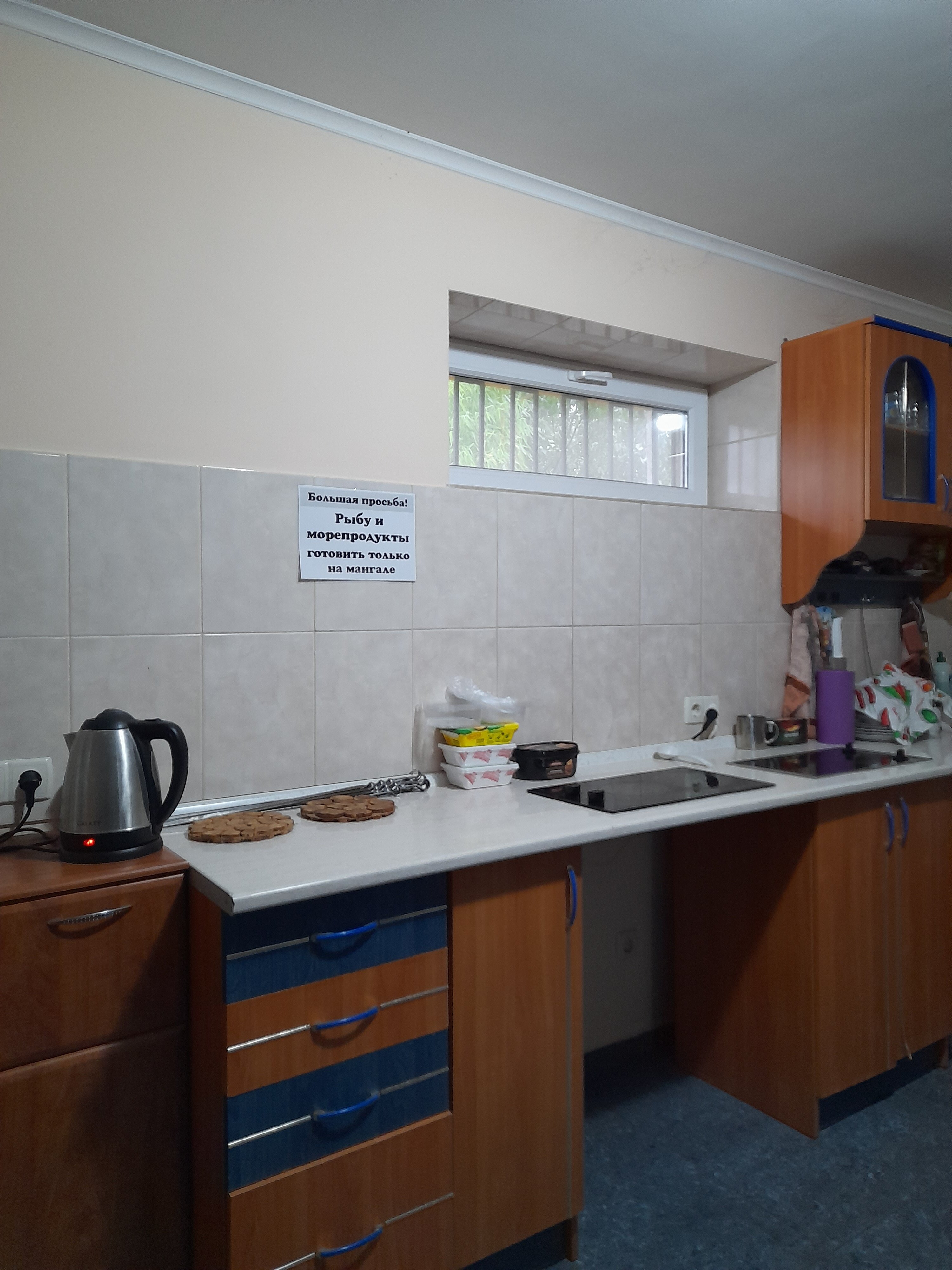 Фото Горлица