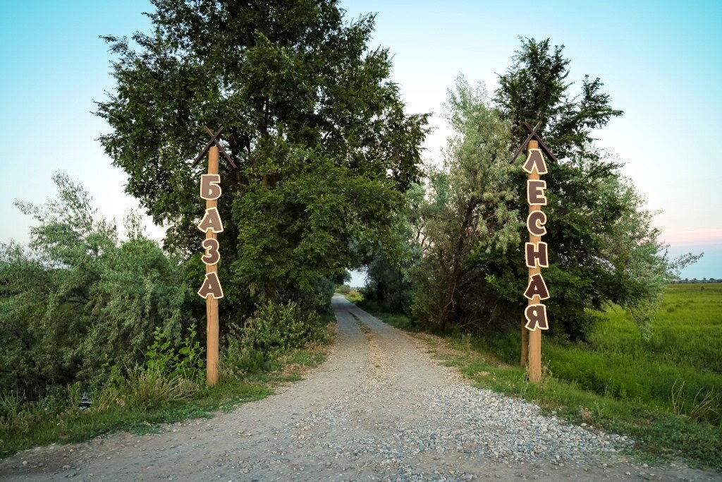 Фото Лесная