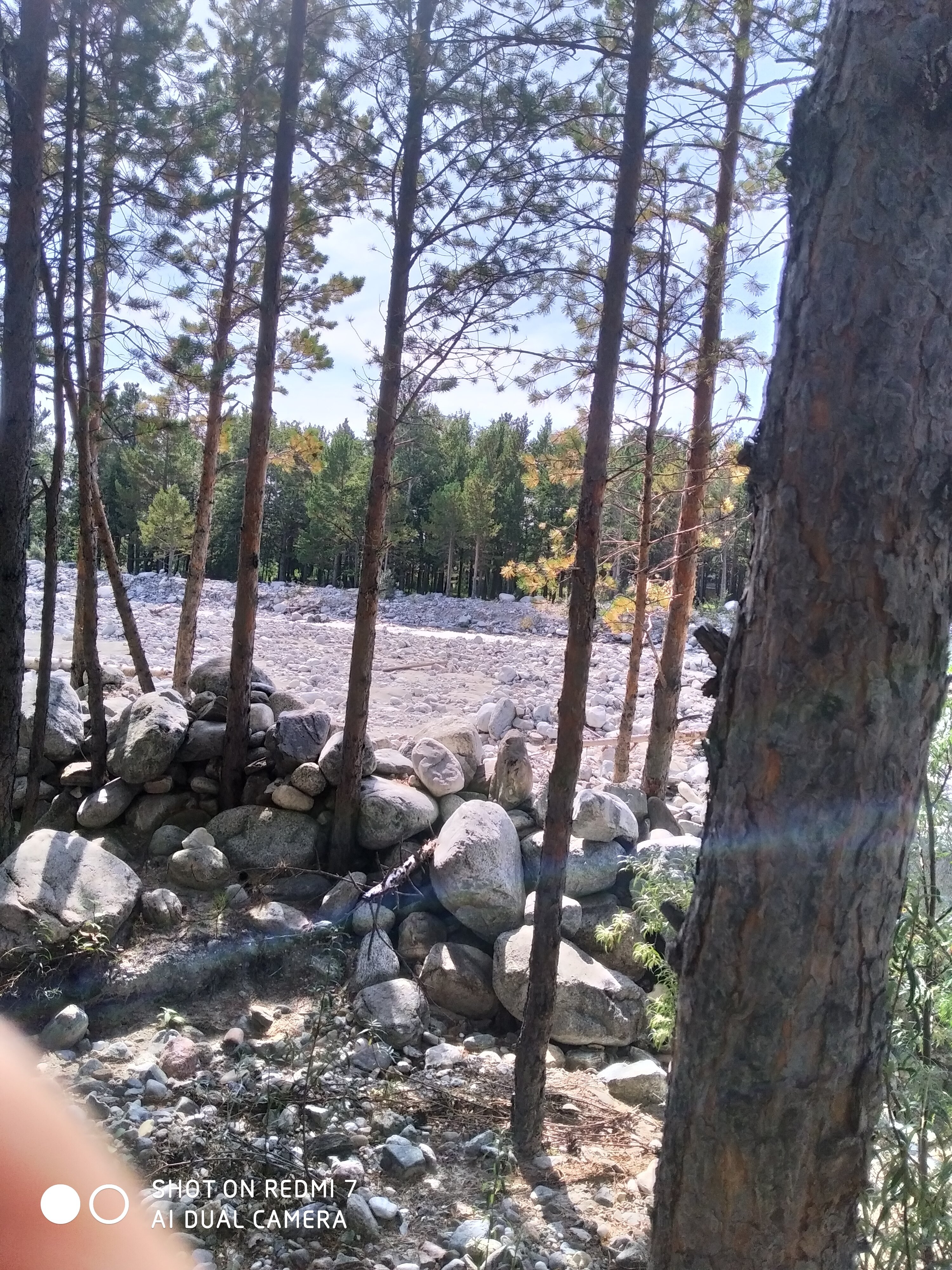 Фото Металлург