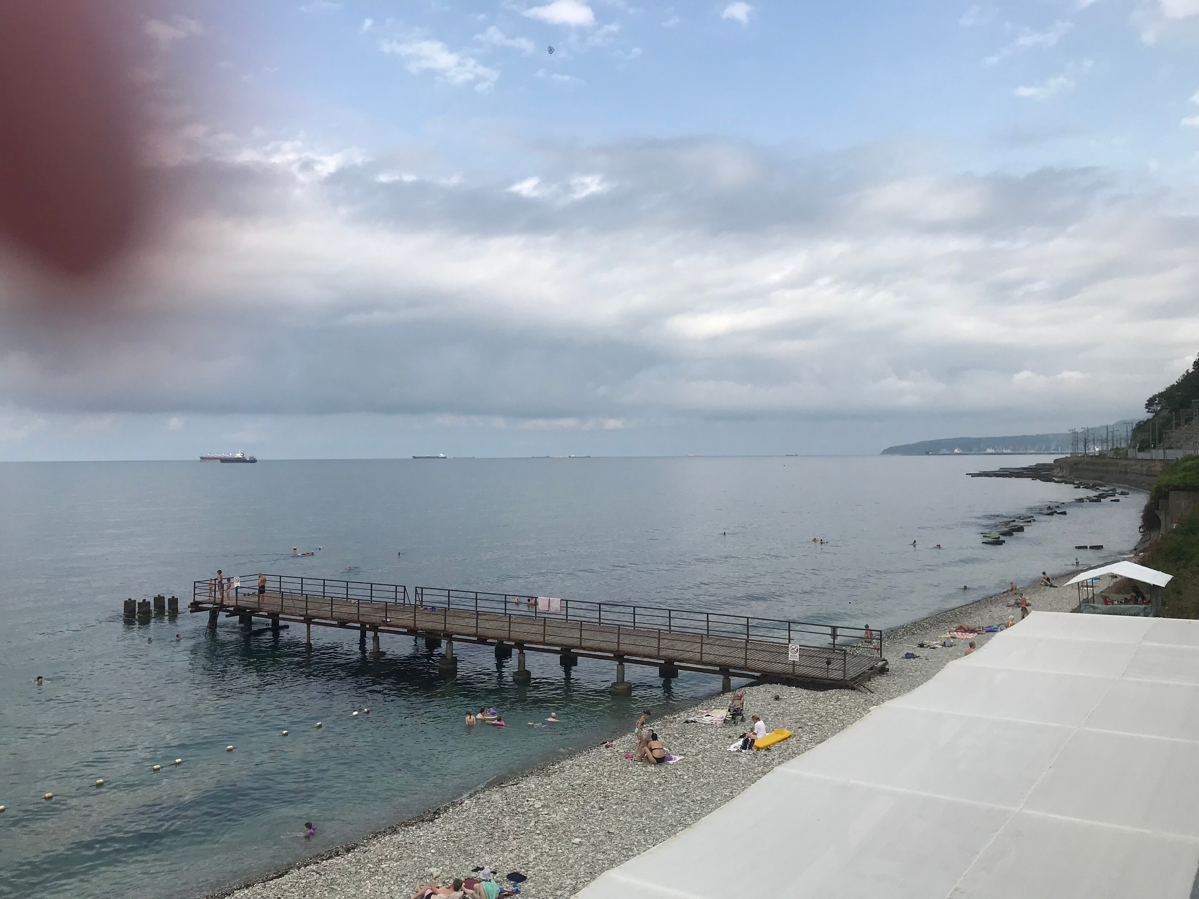 Фото Ласточка