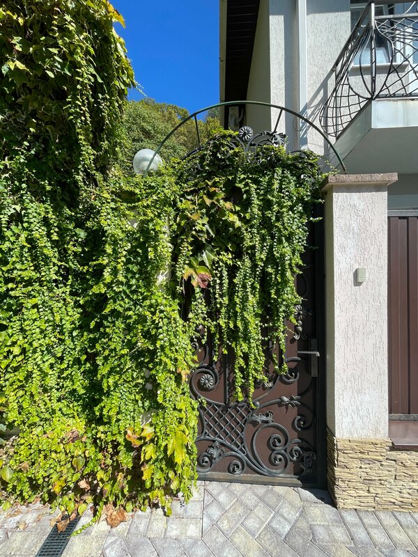 Valentina Guest House — фото 15