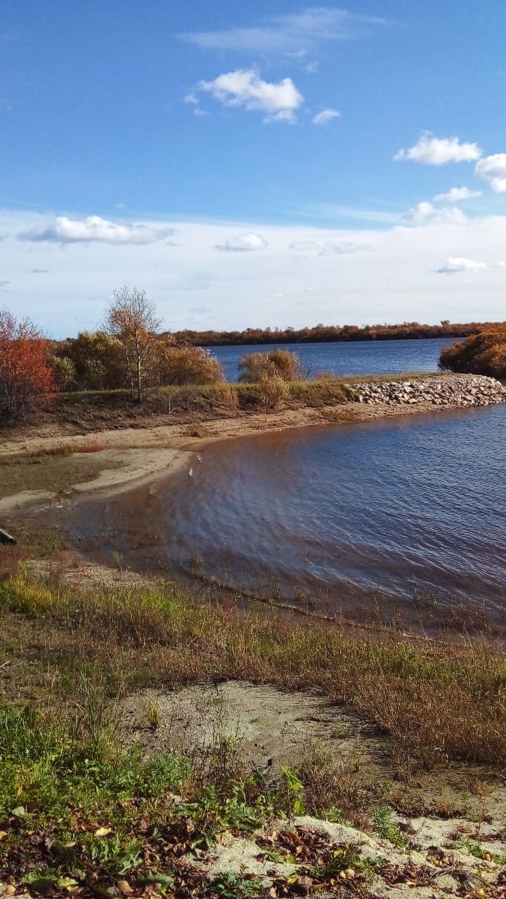 Фото Зейский берег