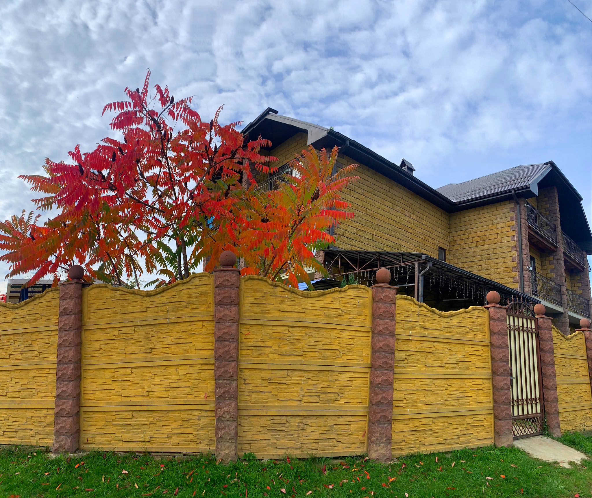 Фото Два брата