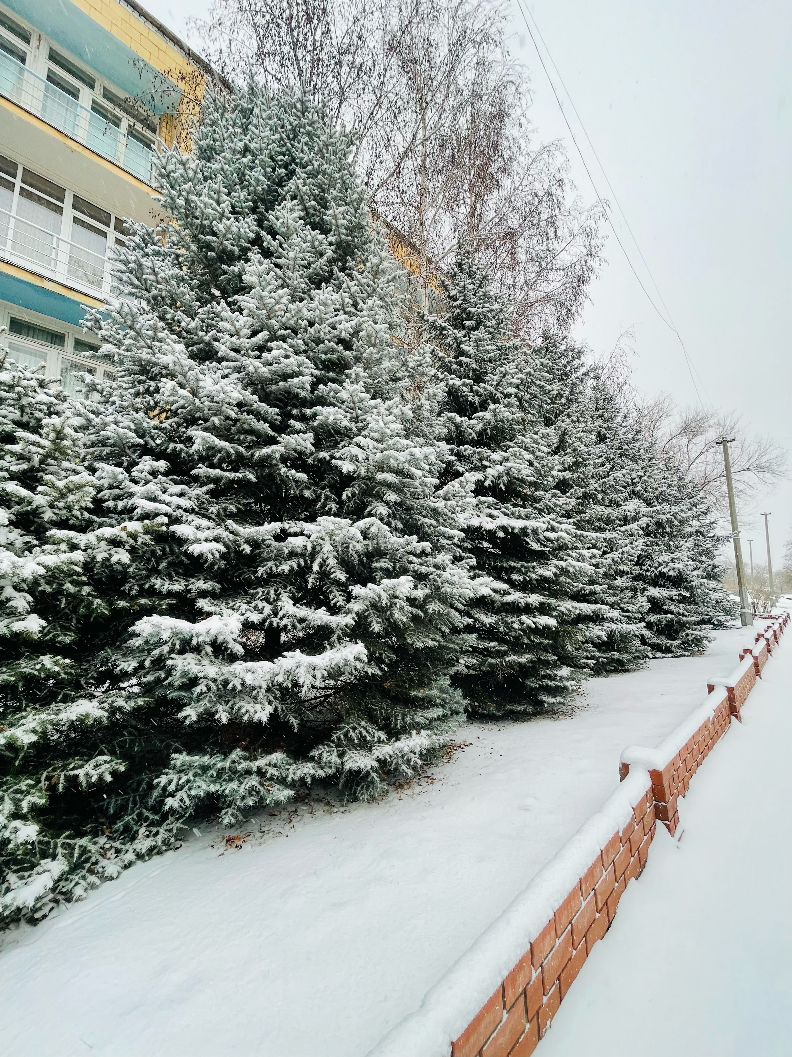 Фото Волжская Здравница