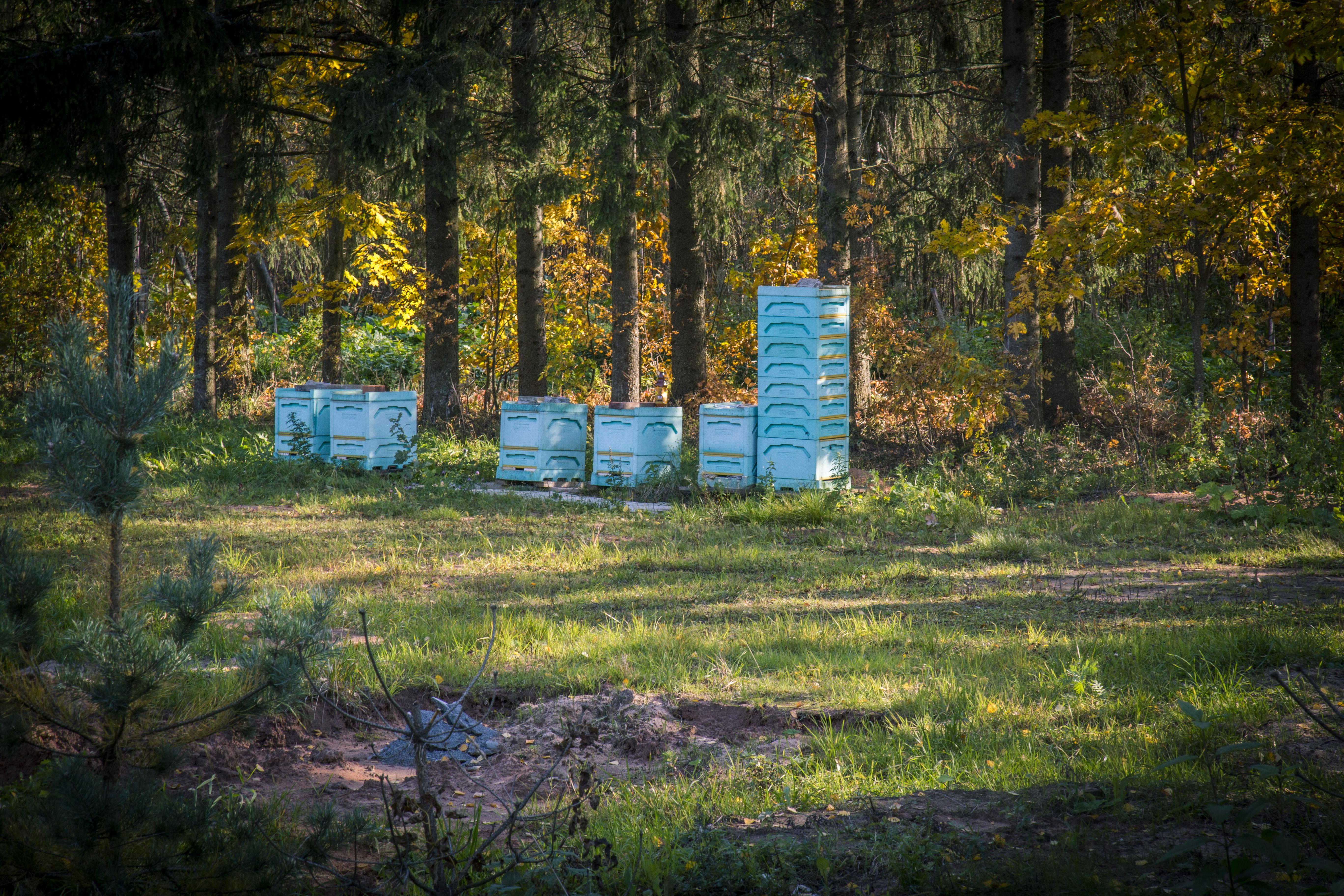 Фото Гостевой двор хутор Надевицы