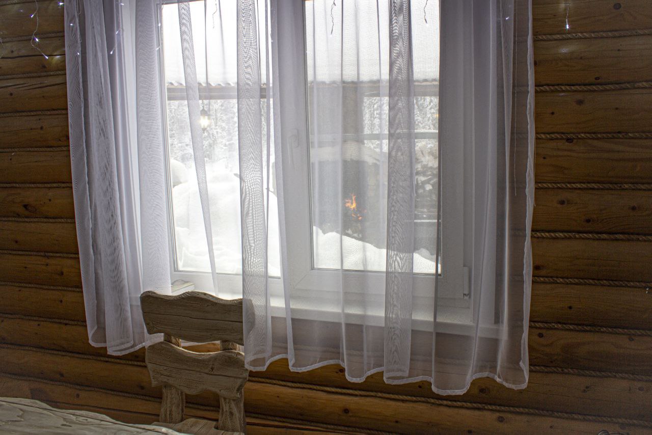 Фото Золотая сова