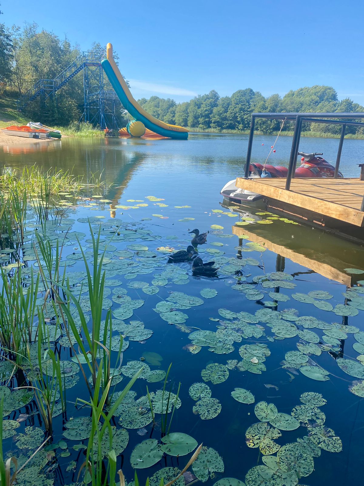 Фото Лесная гавань