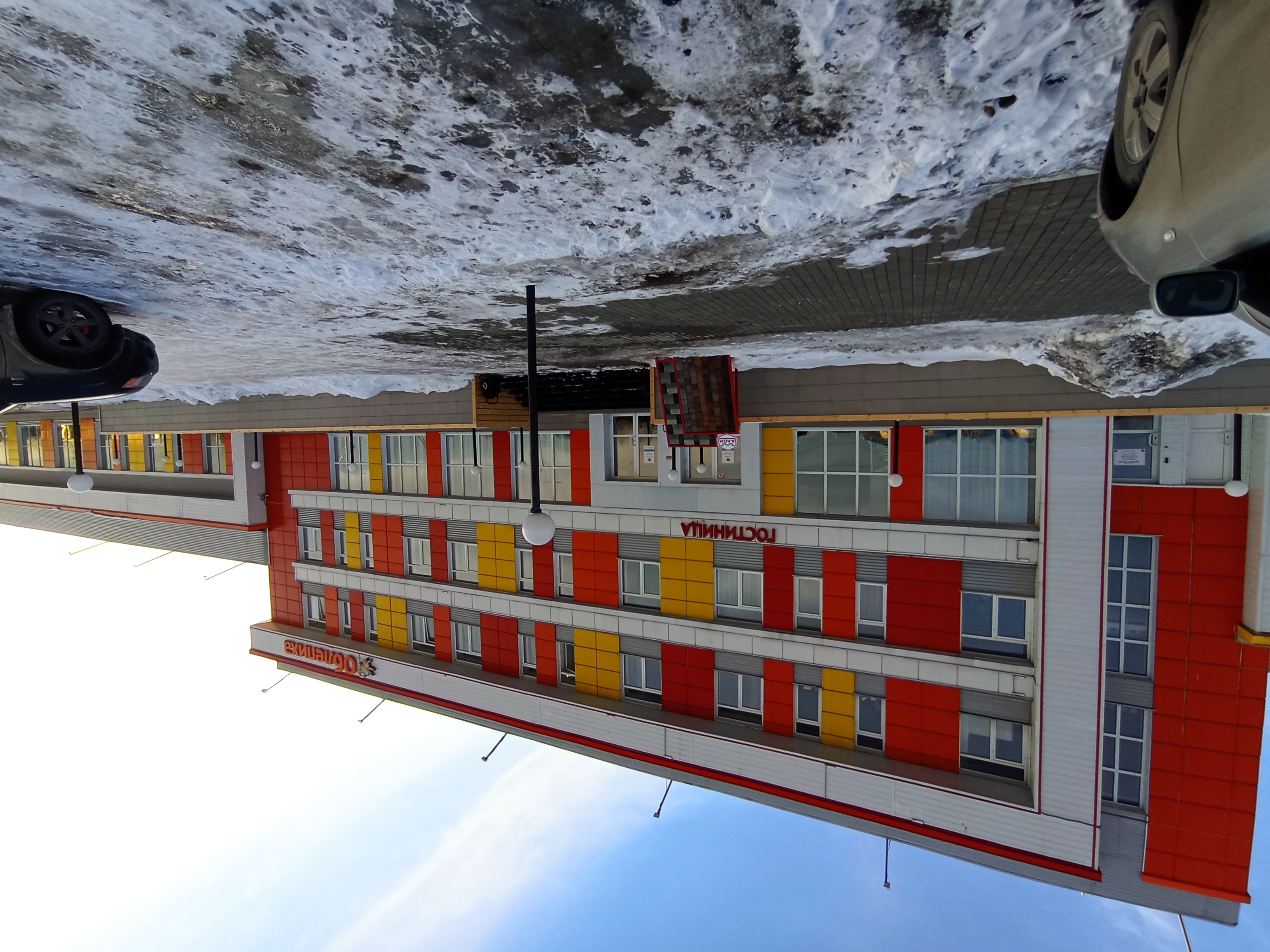 Фото Облепиха