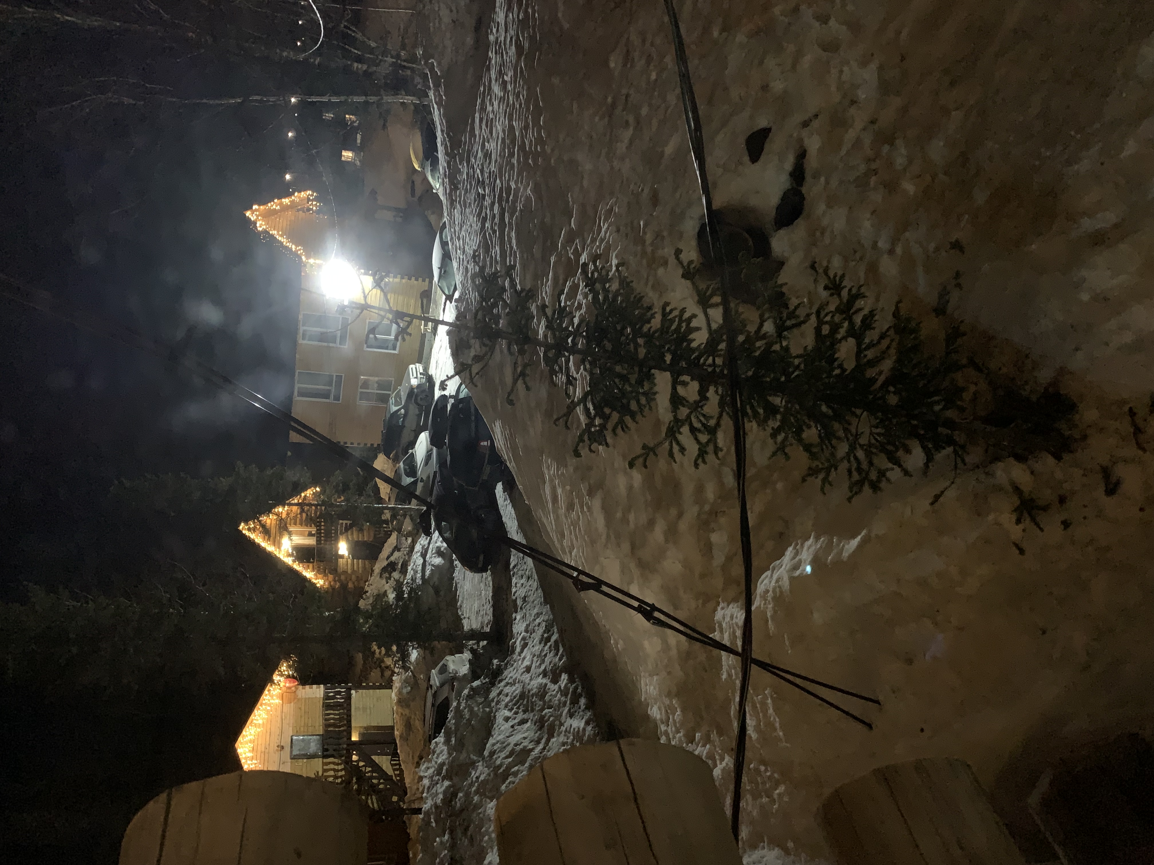 Фото Сила Сибири