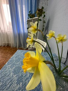 Логово Льва