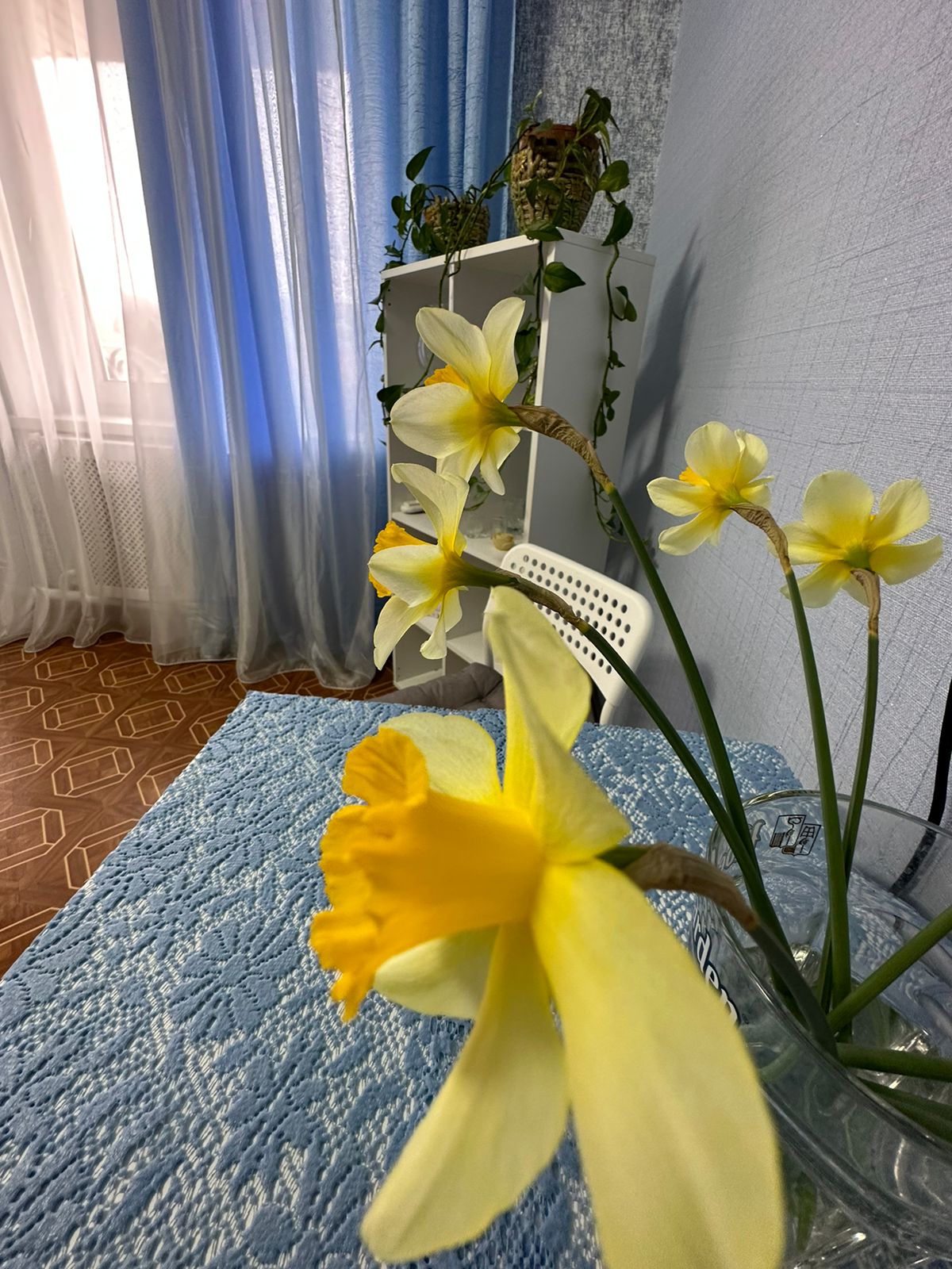 Фото Логово Льва